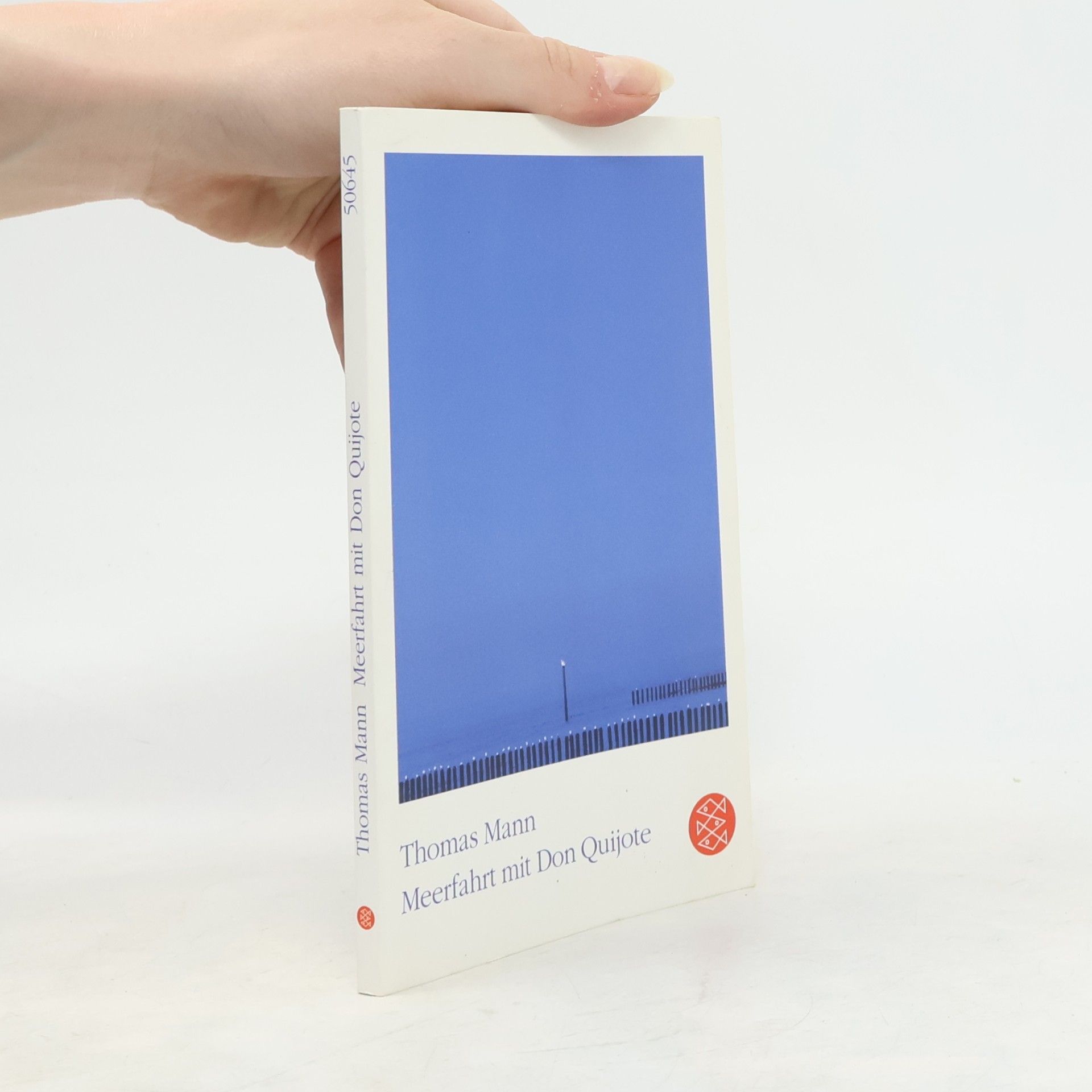 Thomas Mann Meerfahrt mit Don Quijote. Mit einer Übersicht und Photographien von sämtlichen Atlantikreisen Thomas Manns