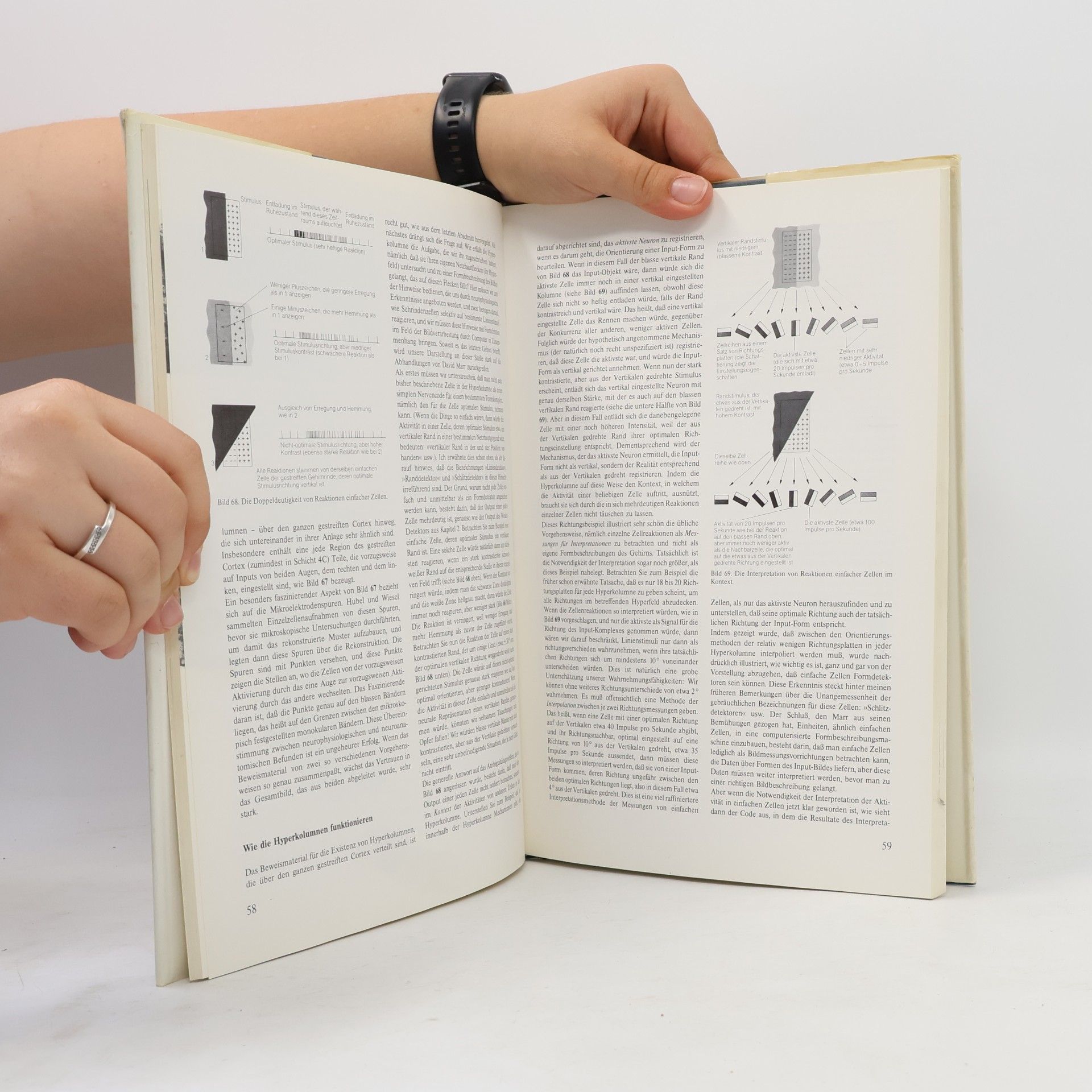 John P. Frisby Sehen. Optische Täuschungen, Gehirnfunktionen, Bildgedächtnis