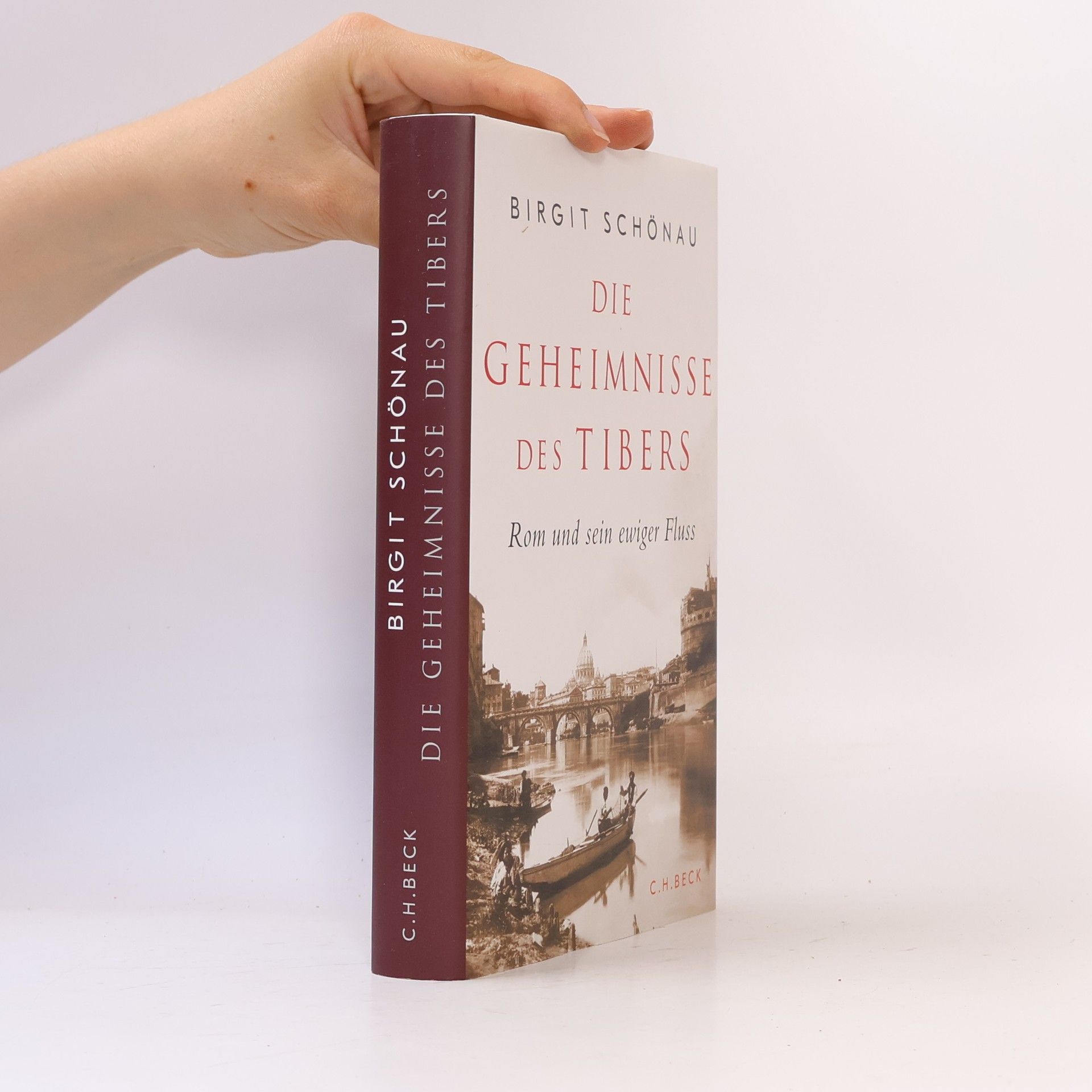 Birgit Schönau Die Geheimnisse des Tibers