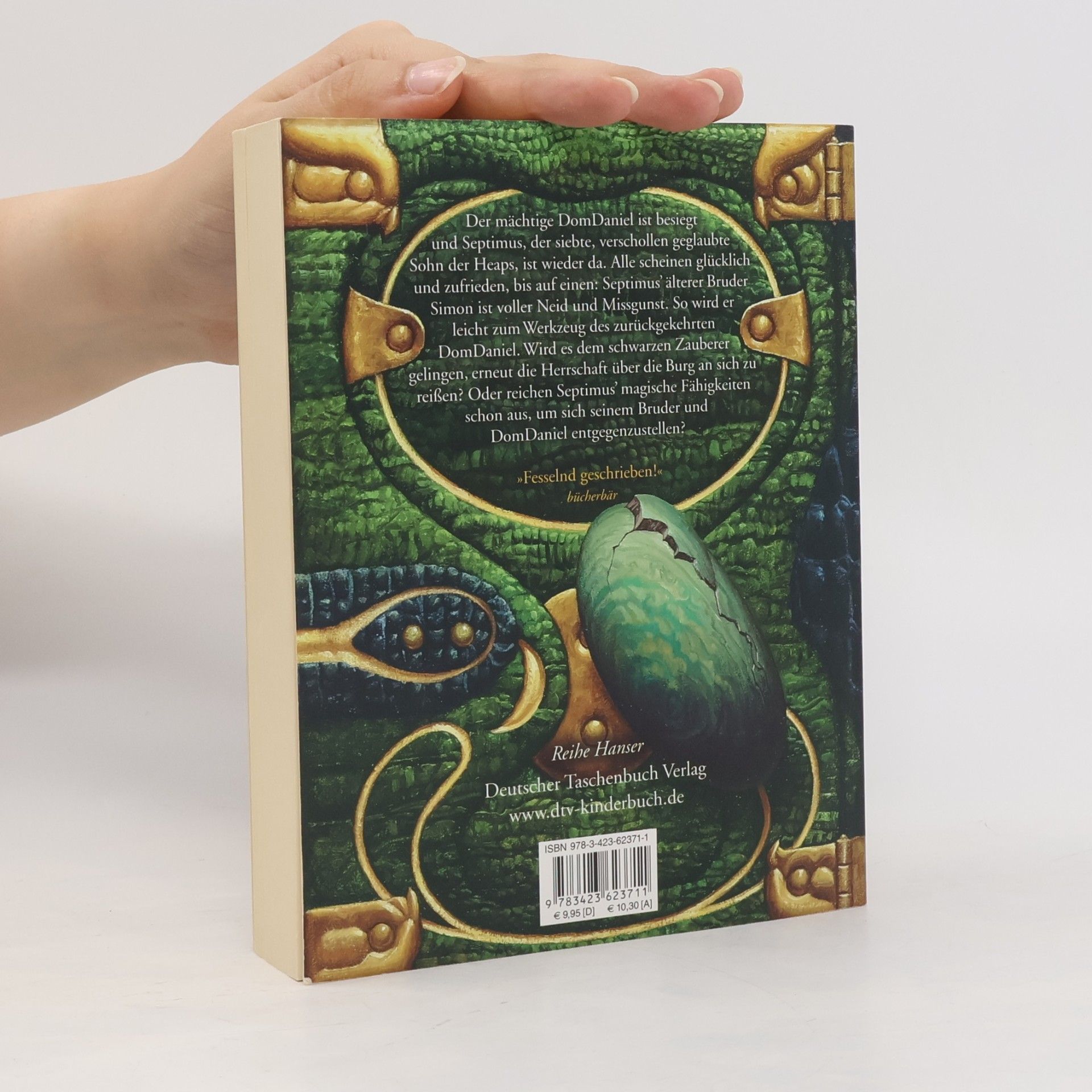 Angie Sage Septimus Heap: Flyte