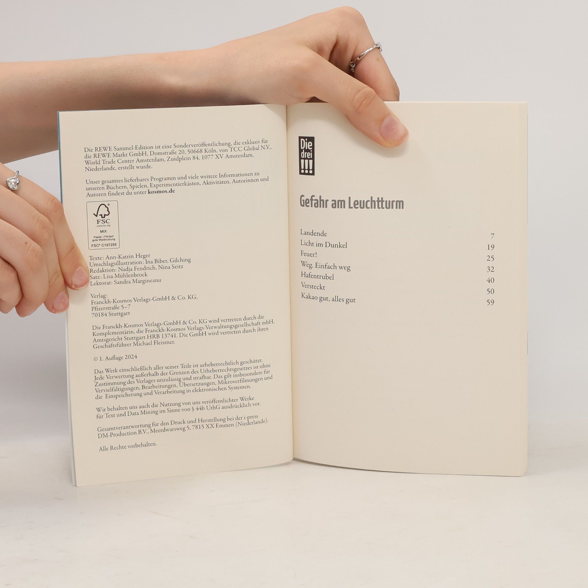 Autorenkollektiv Die drei !!! – Gefahr am Leuchtturm
