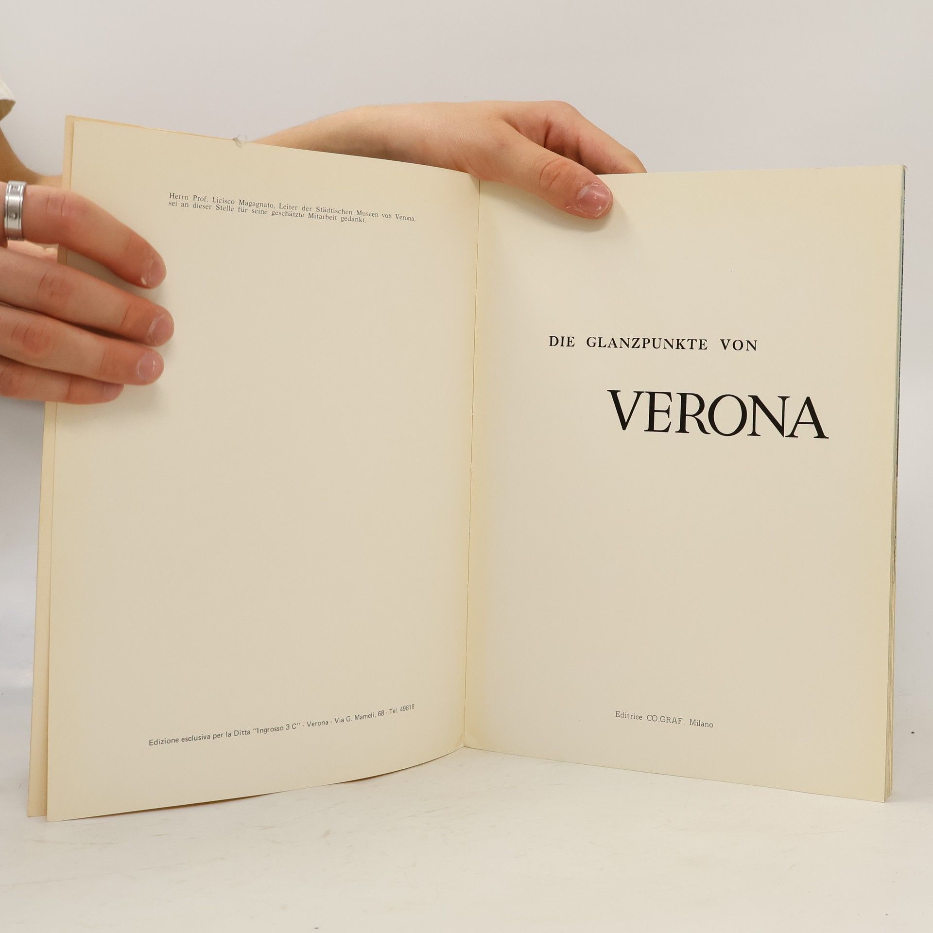 Autorenkollektiv Die Glanzpunkte von Verona