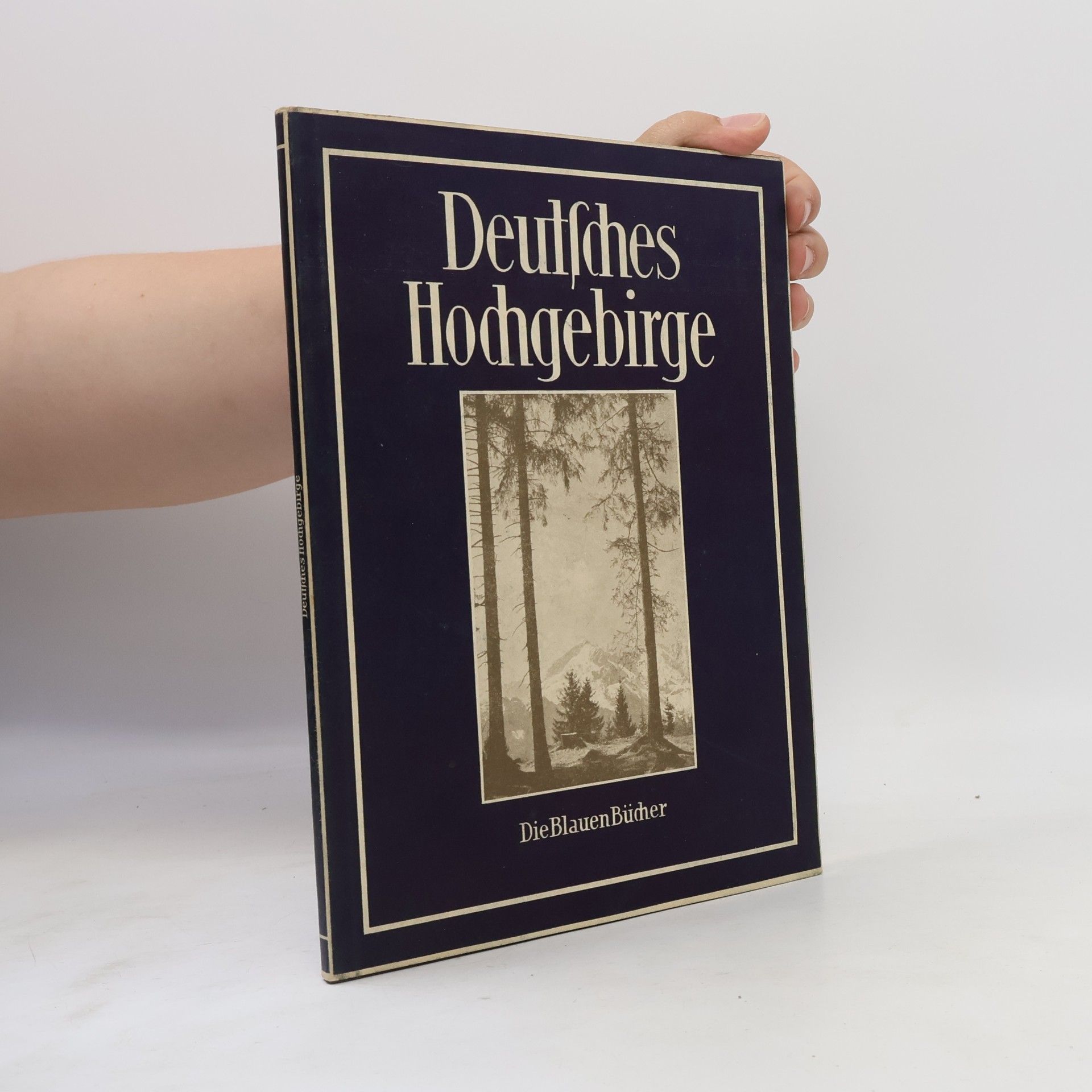 Hans Brandenburg Deutsches Hochgebirge