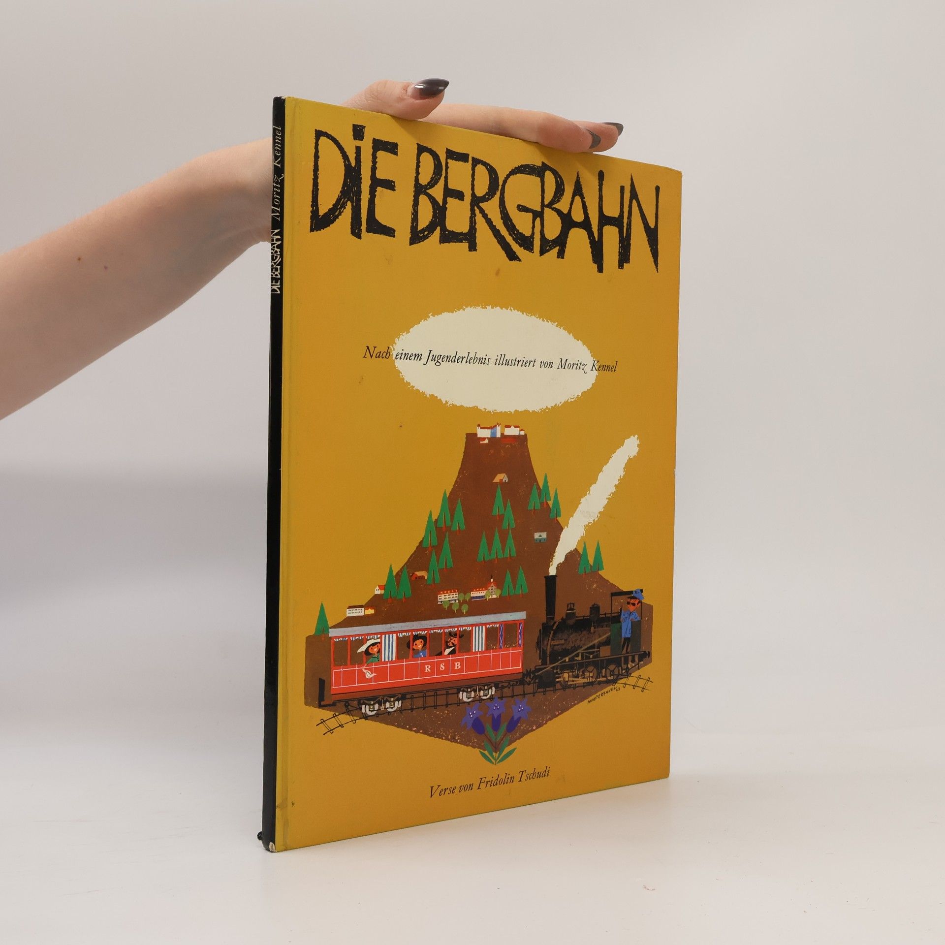 Die Bergbahn