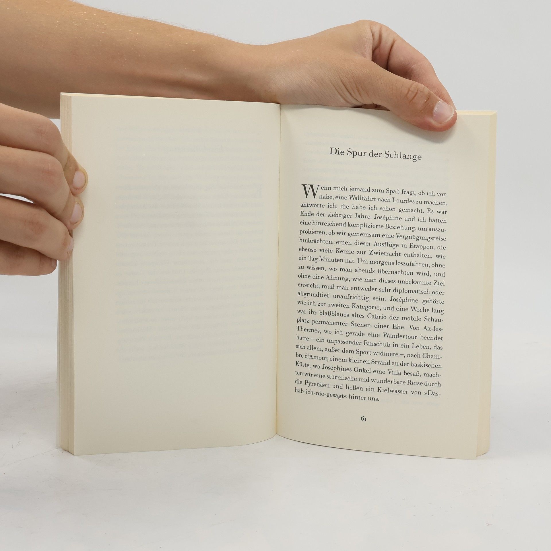 Jean-Dominique Bauby Schmetterling und Taucherglocke