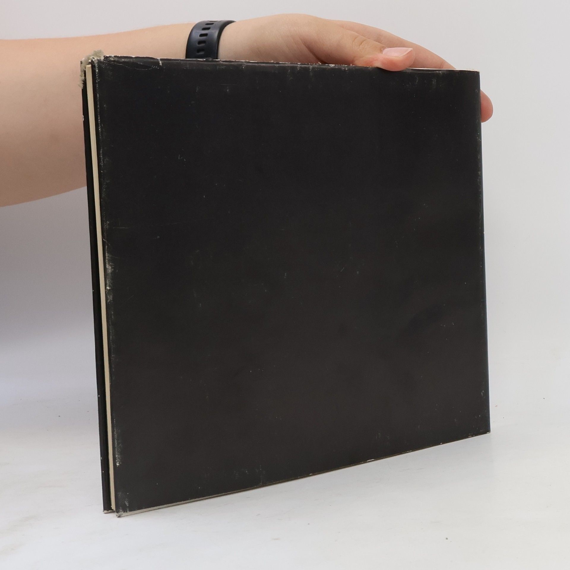Bruno Schulz Das Götzenbuch