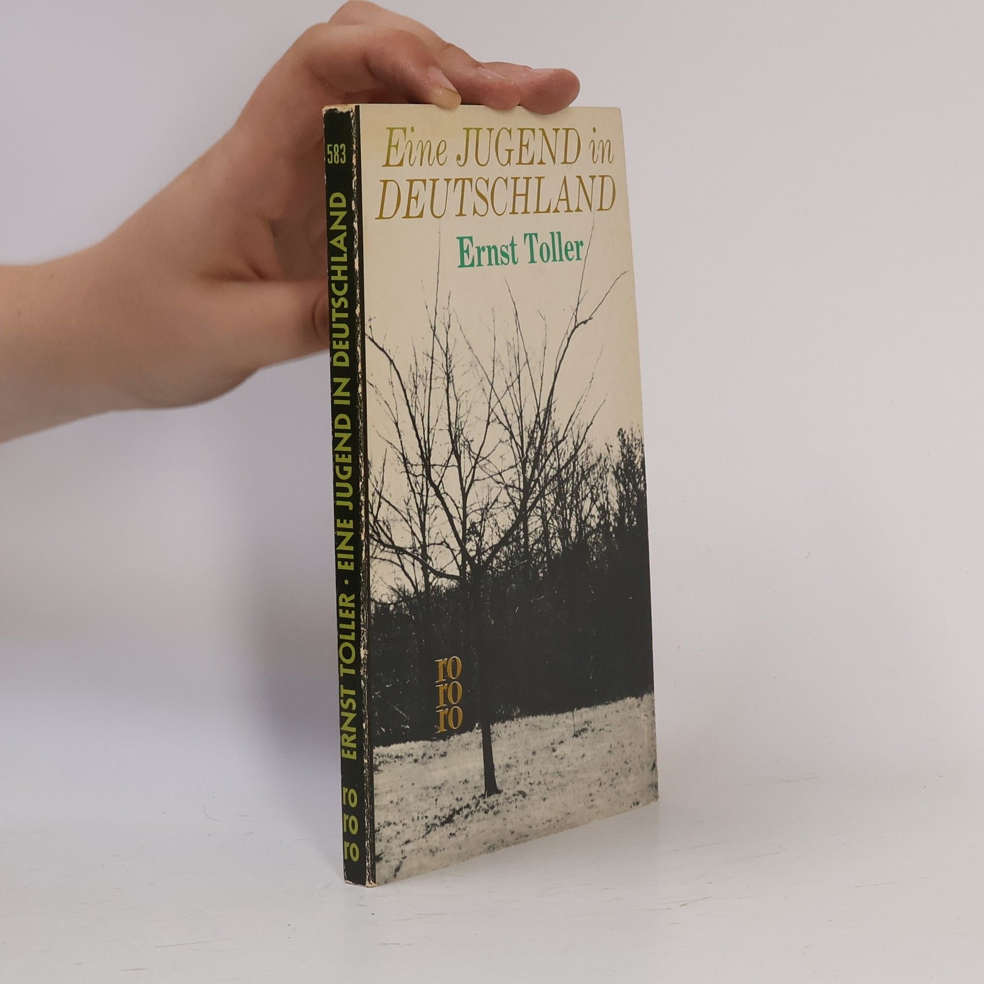 Ernst Toller Eine Jugend in Deutschland