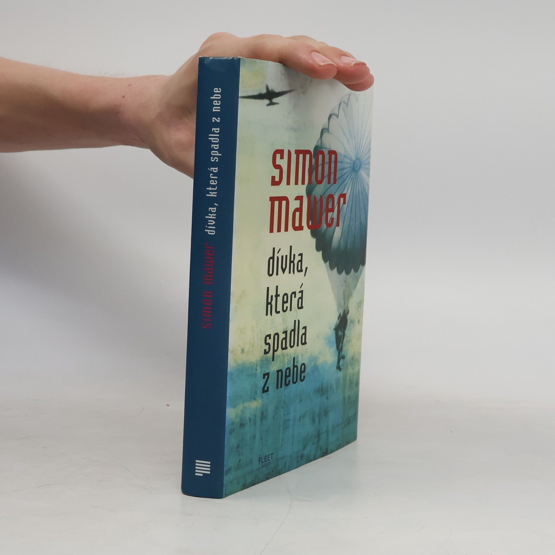 Simon Mawer Dívka, která spadla z nebe