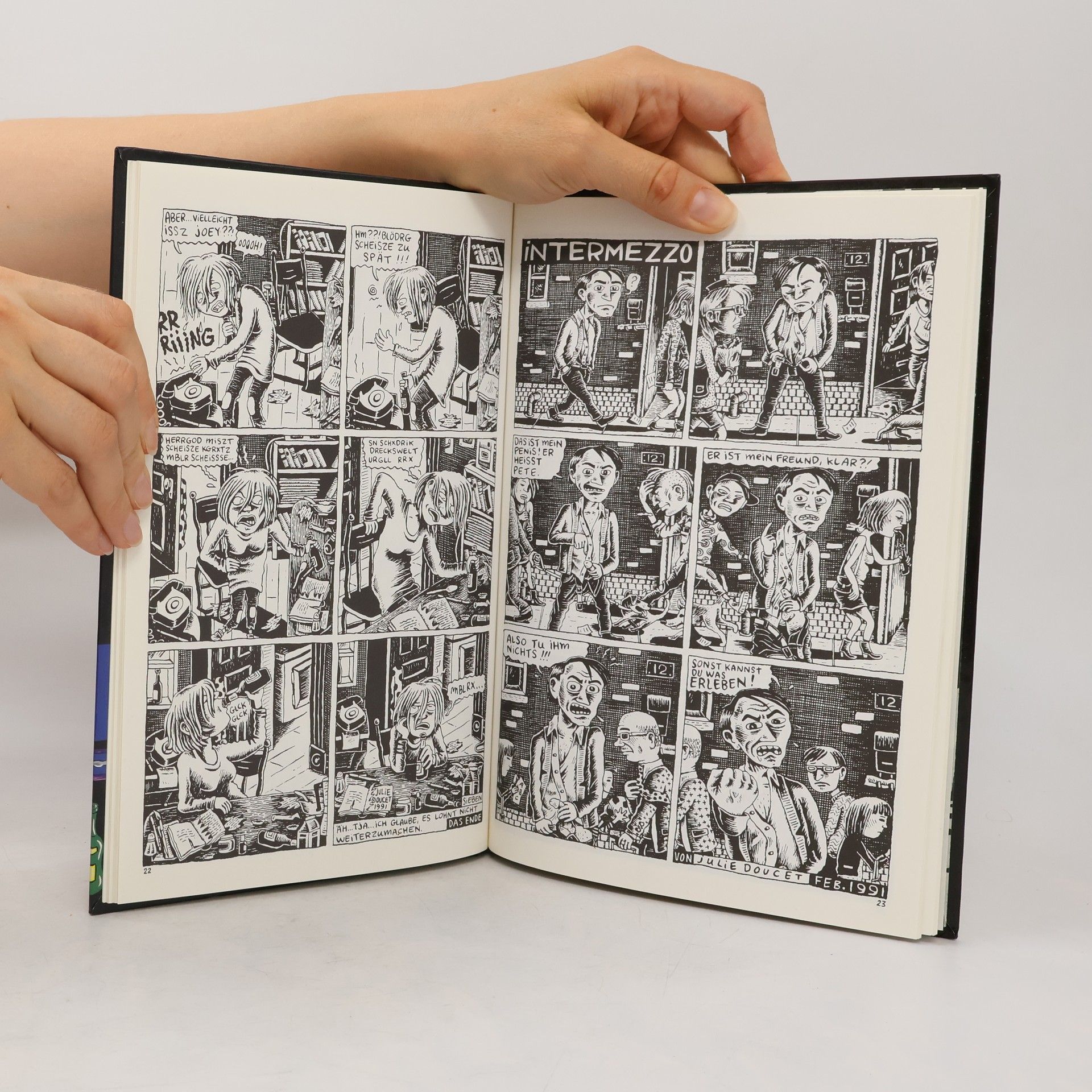 Julie Doucet Wahre Haushaltscomics