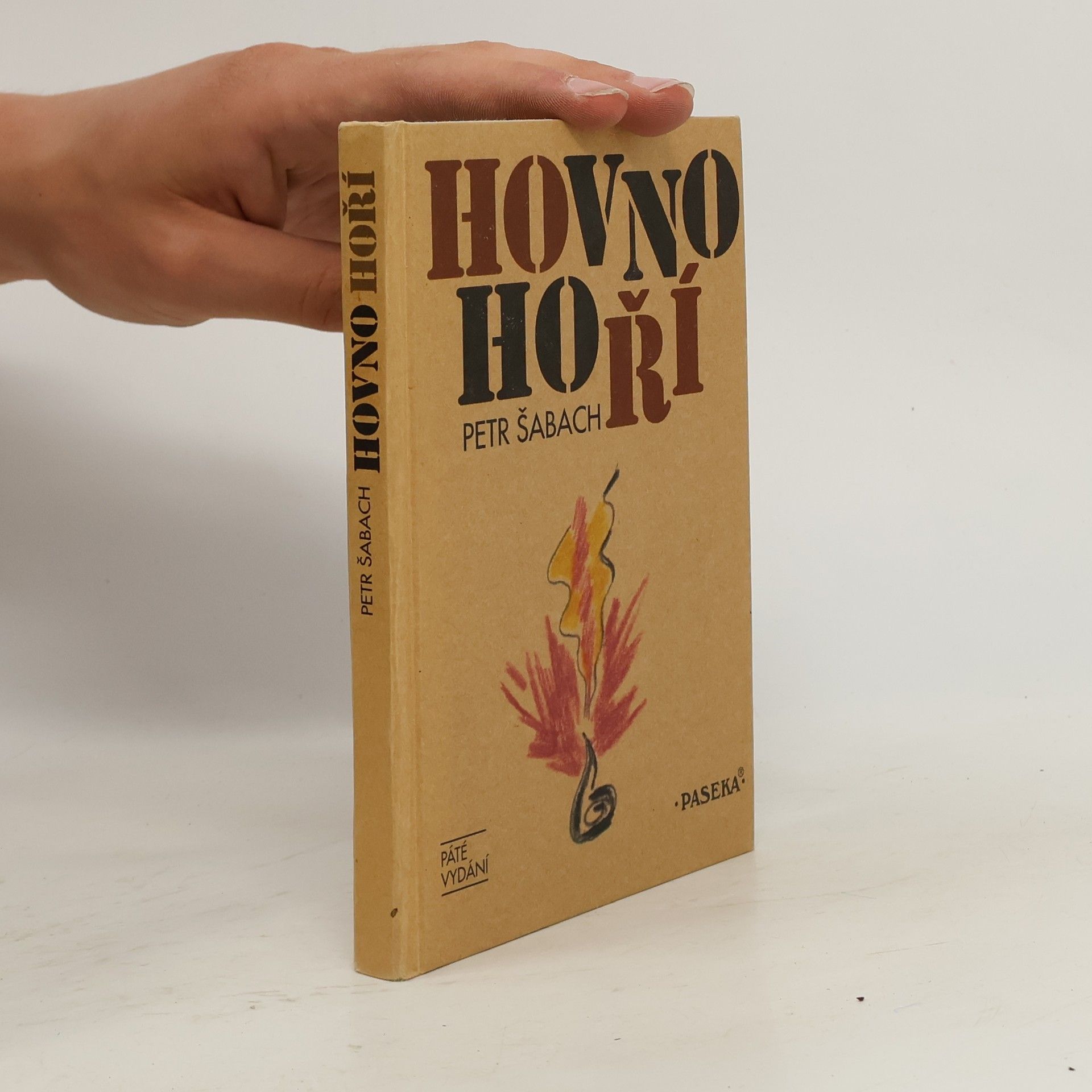 Petr Šabach Hovno hoří