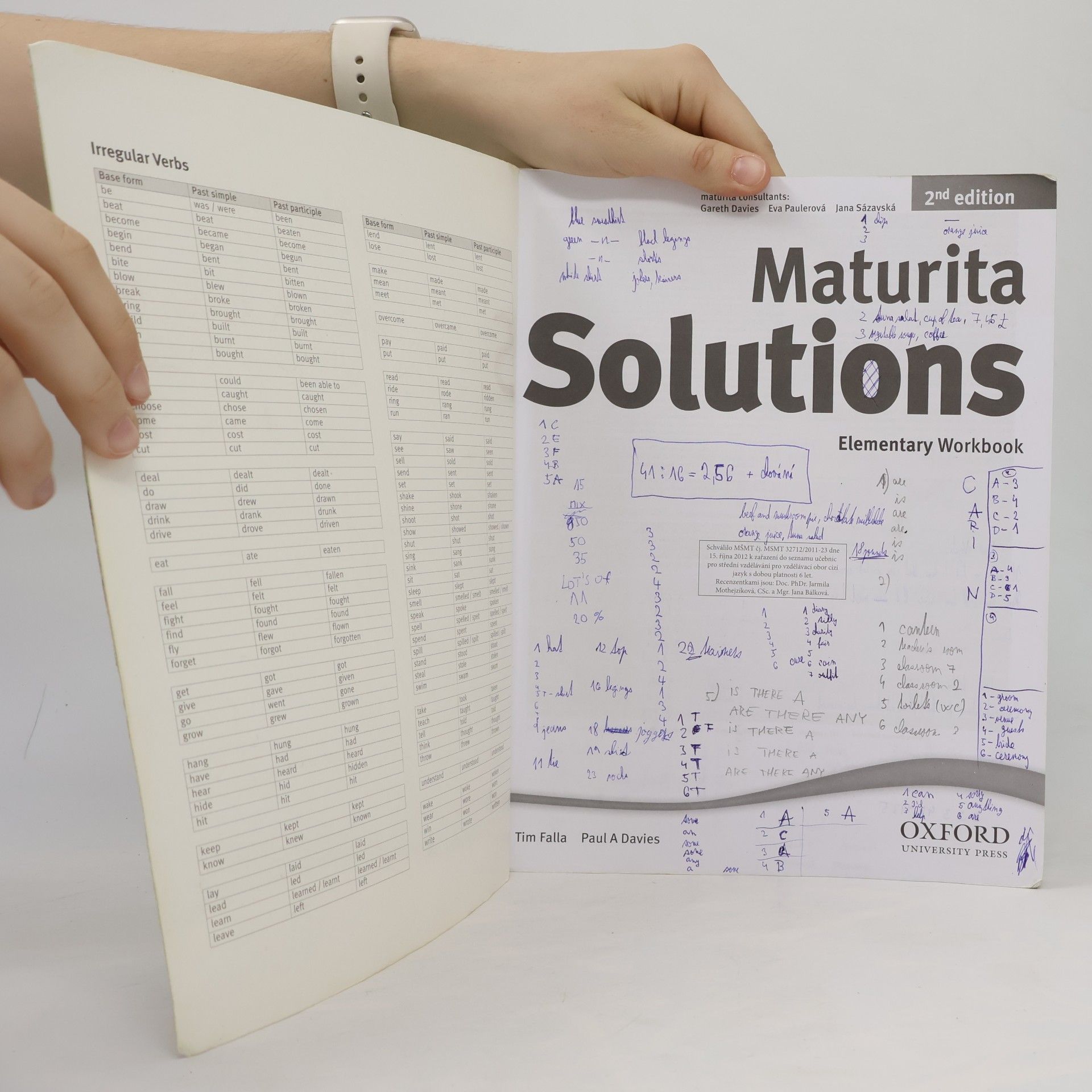 Tim Falla Maturita Solutions 2nd edition Elementary Workbook