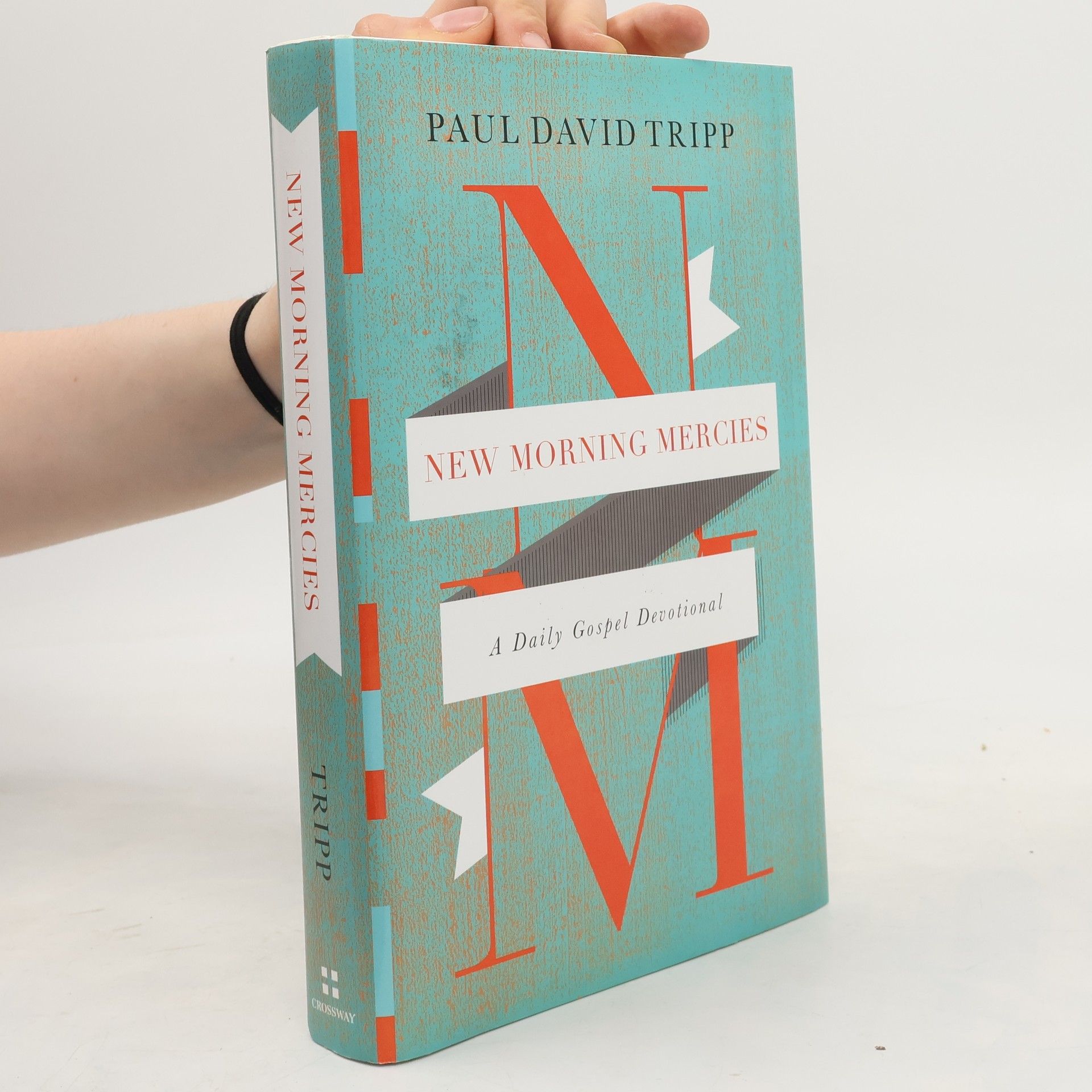 Paul David Tripp New Morning Mercies