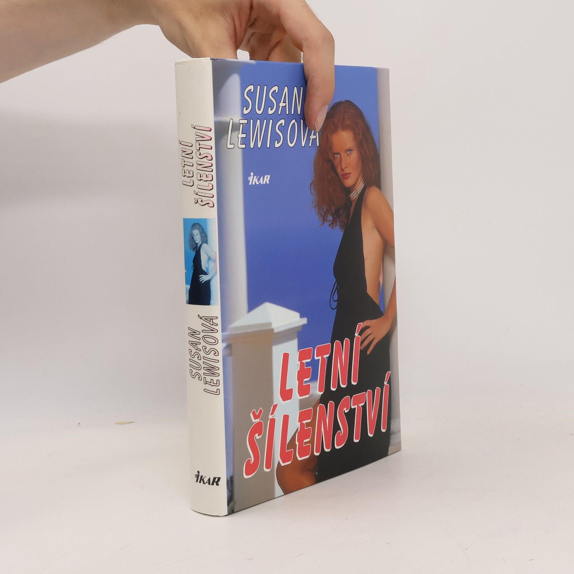 Susan Lewis Letní šílenství