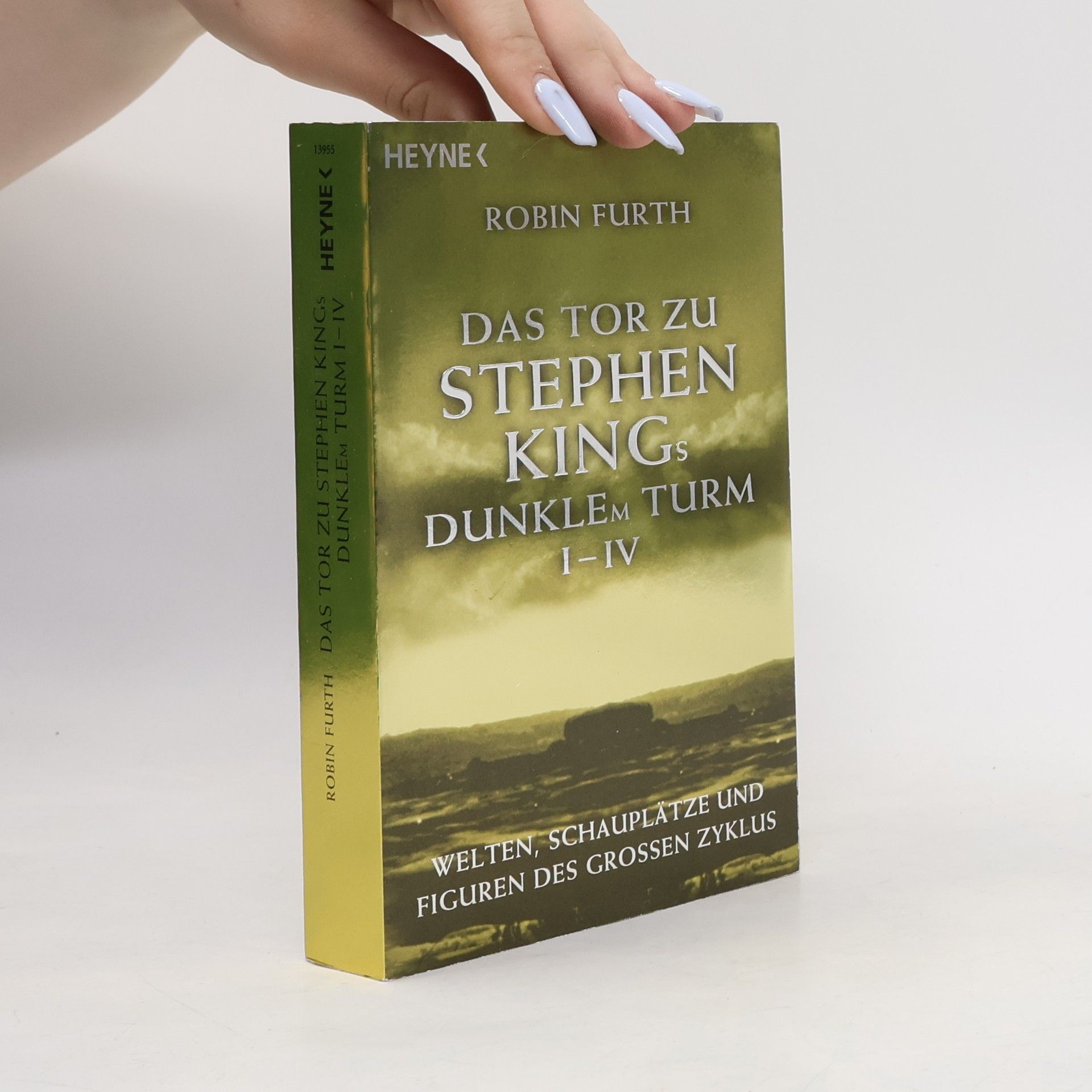 Robin Furth Das Tor zu Stephen Kings Dunklem Turm ...