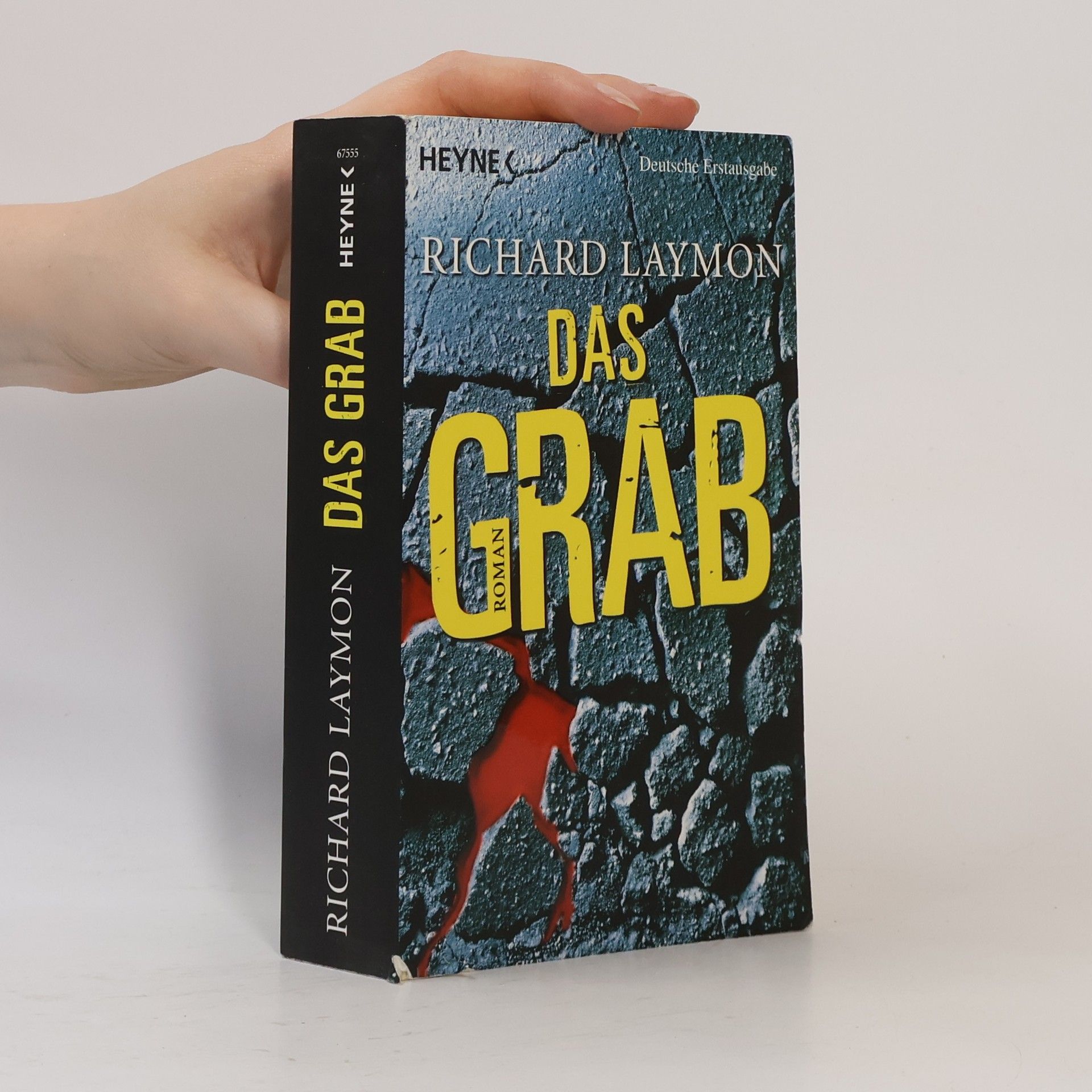 Richard Laymon Das Grab