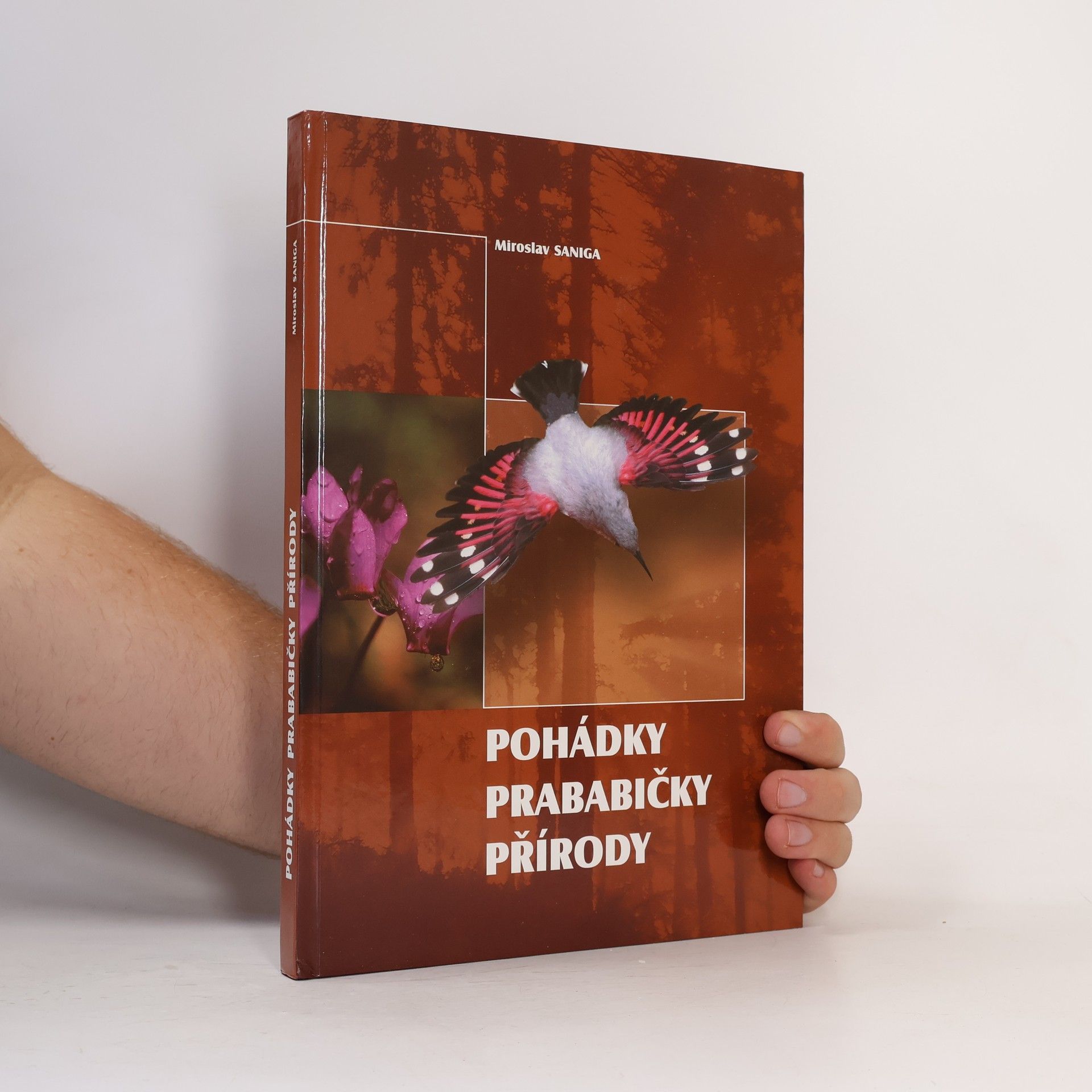 Miroslav Saniga Pohádky prababičky přírody