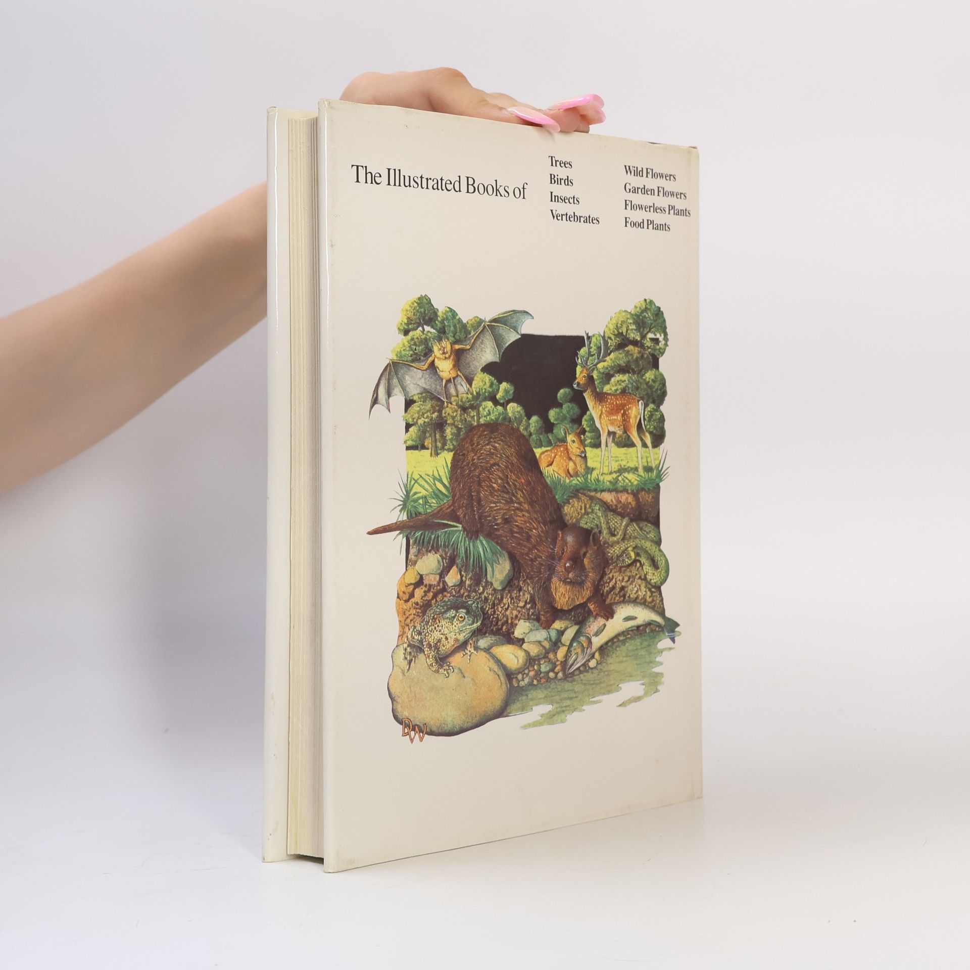 Derek Whiteley The Illustrated Book of Vertebrates