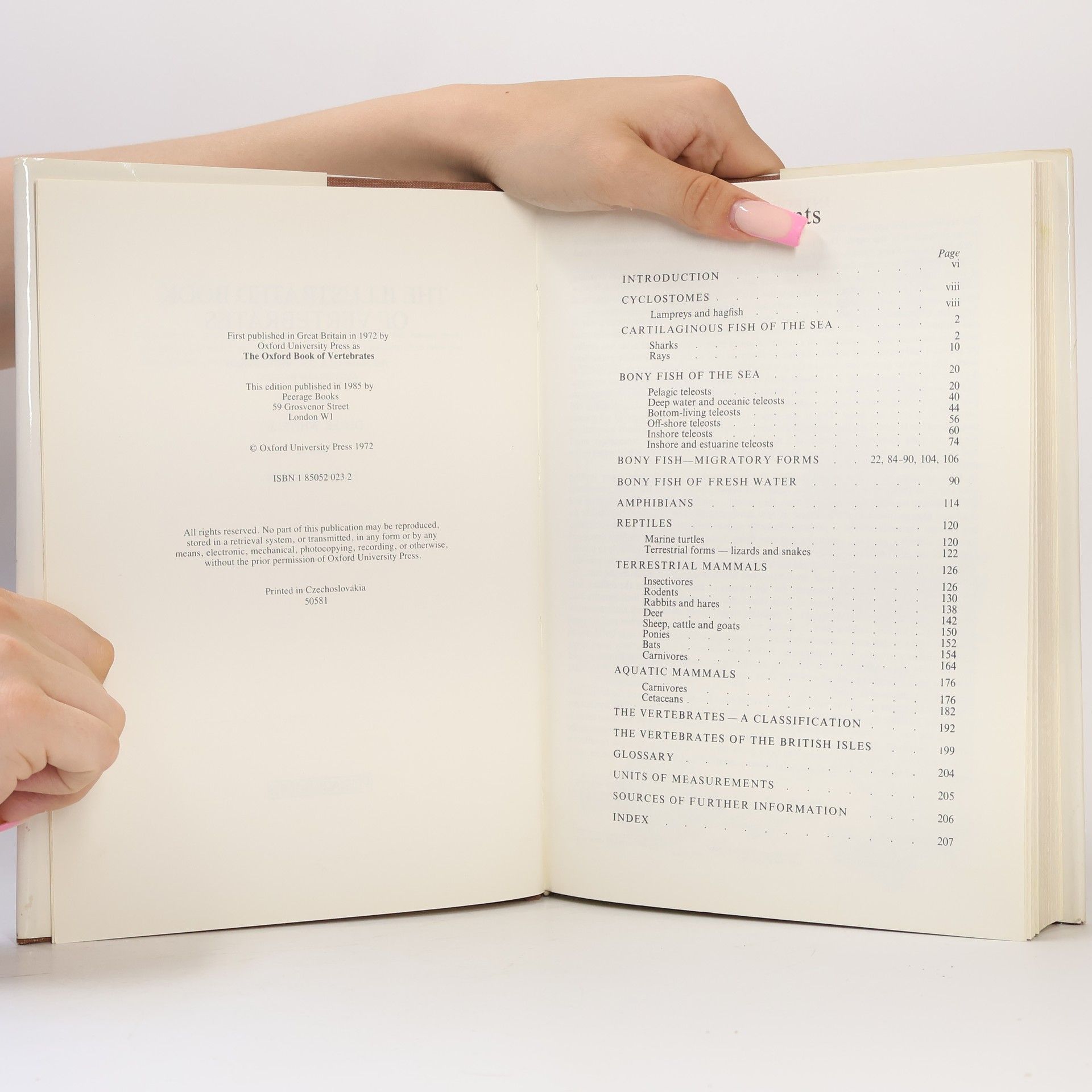 Derek Whiteley The Illustrated Book of Vertebrates