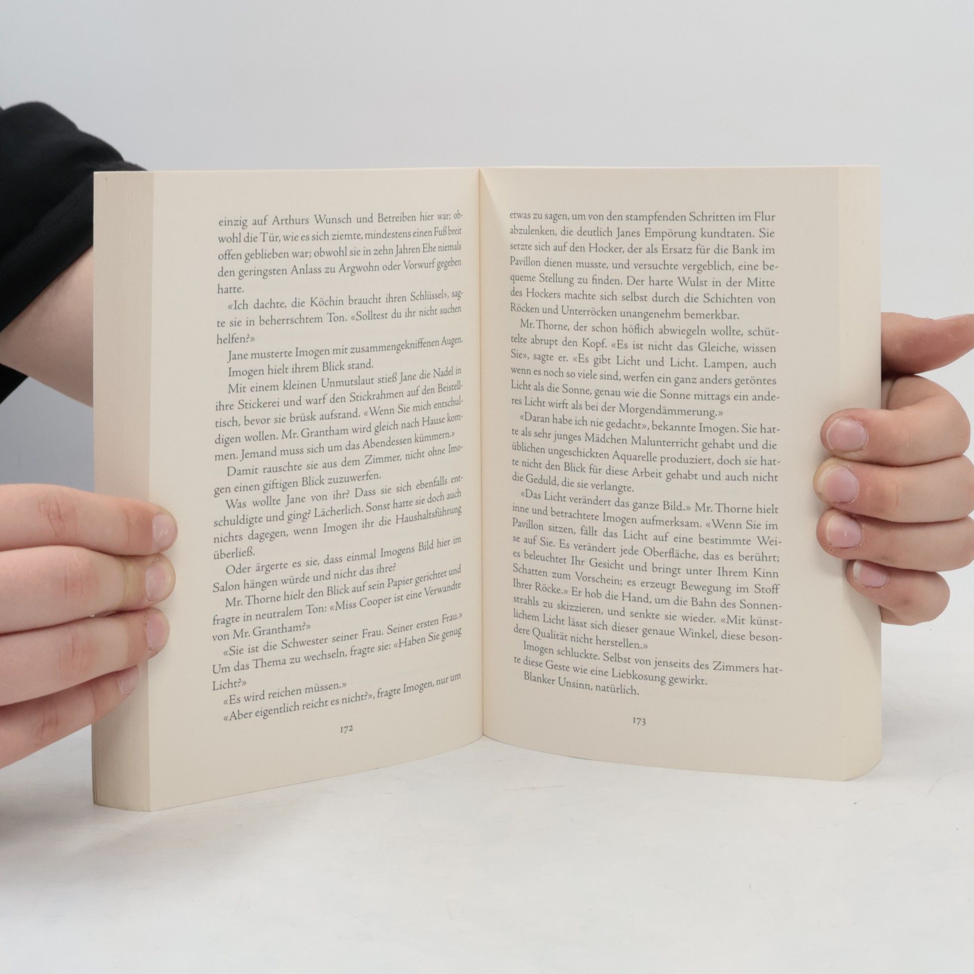 Lauren Willig Der gestohlene Sommer