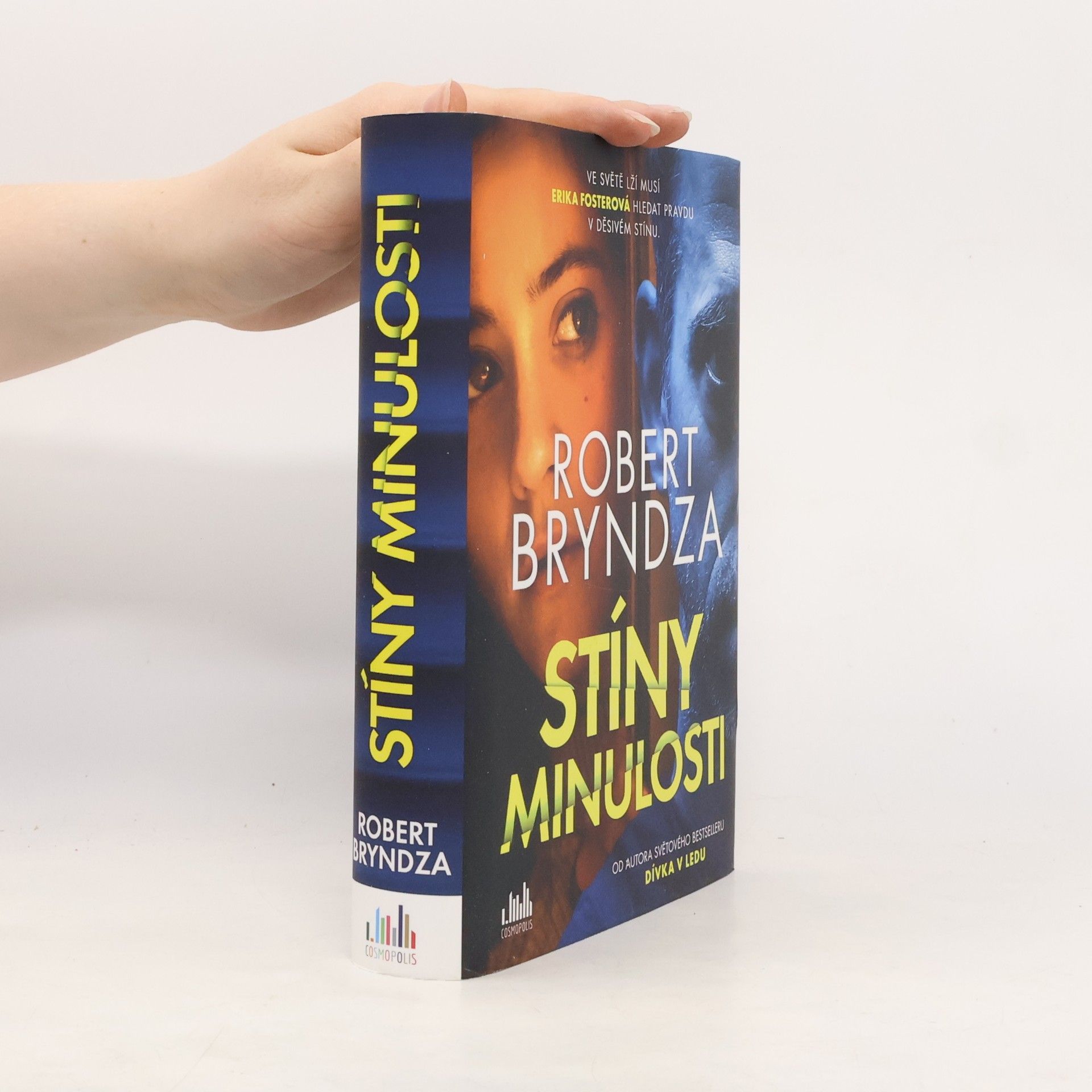 Robert Bryndza Stíny minulosti