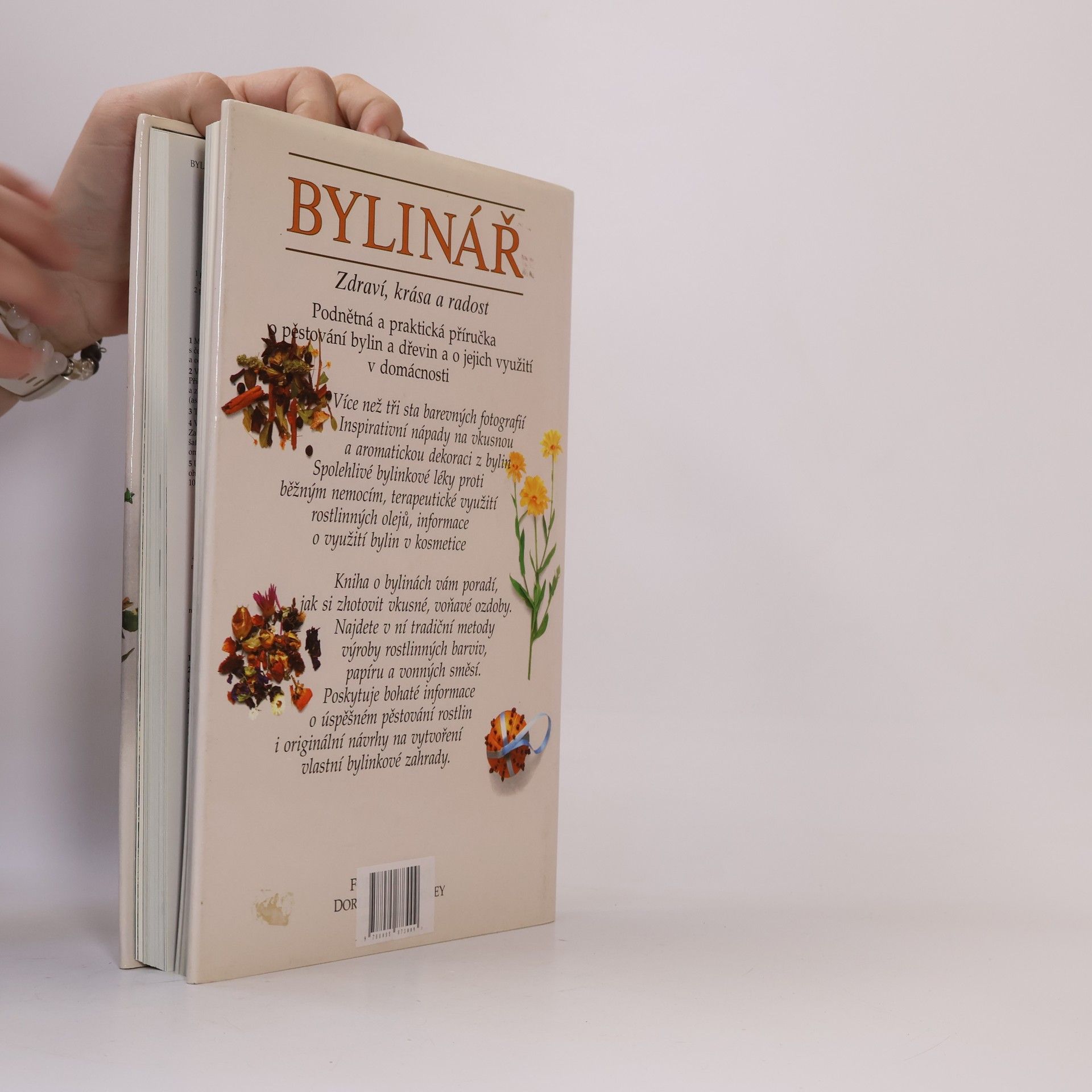 Lesley Bremness Bylinář : Zdraví, krása, radost