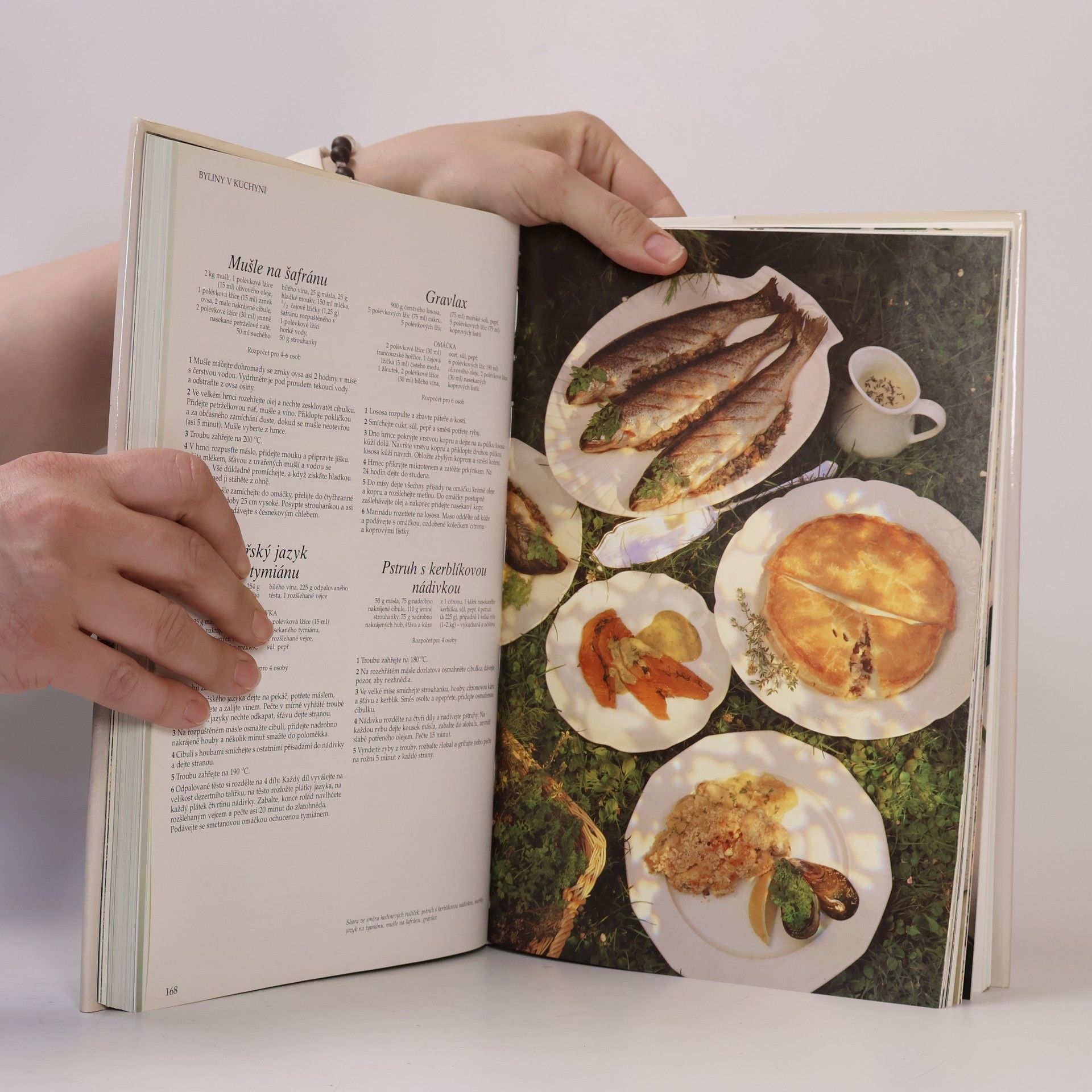 Lesley Bremness Bylinář : Zdraví, krása, radost