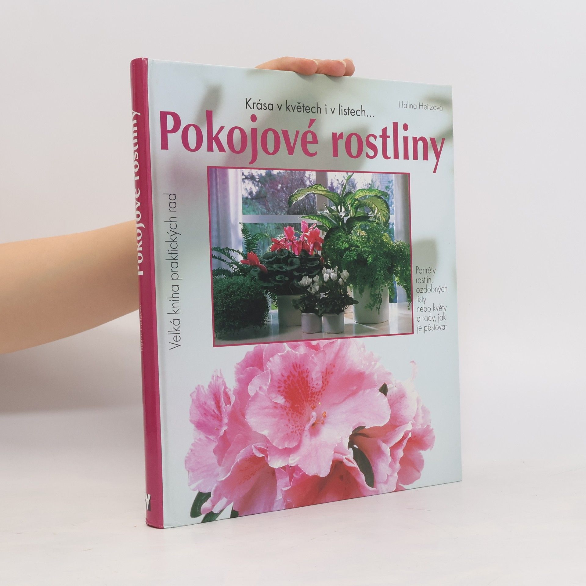 Halina Heitz Pokojové rostliny