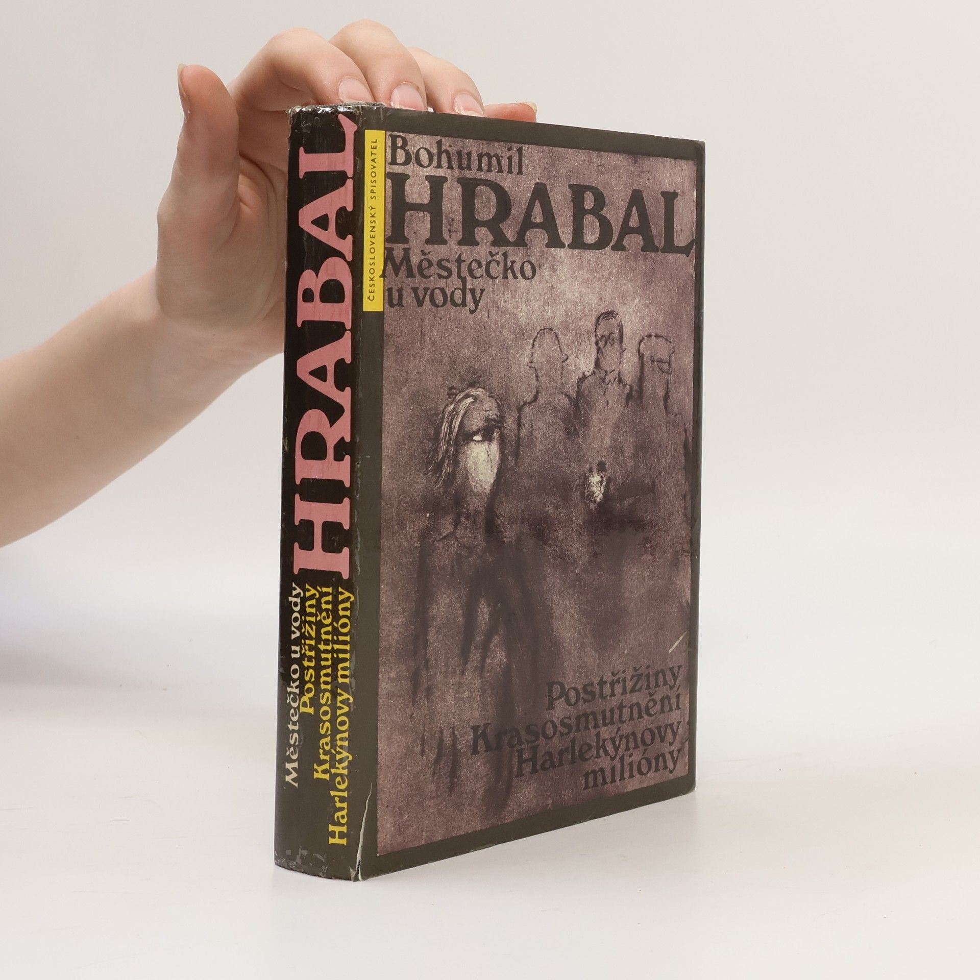 Bohumil Hrabal Městečko u vody