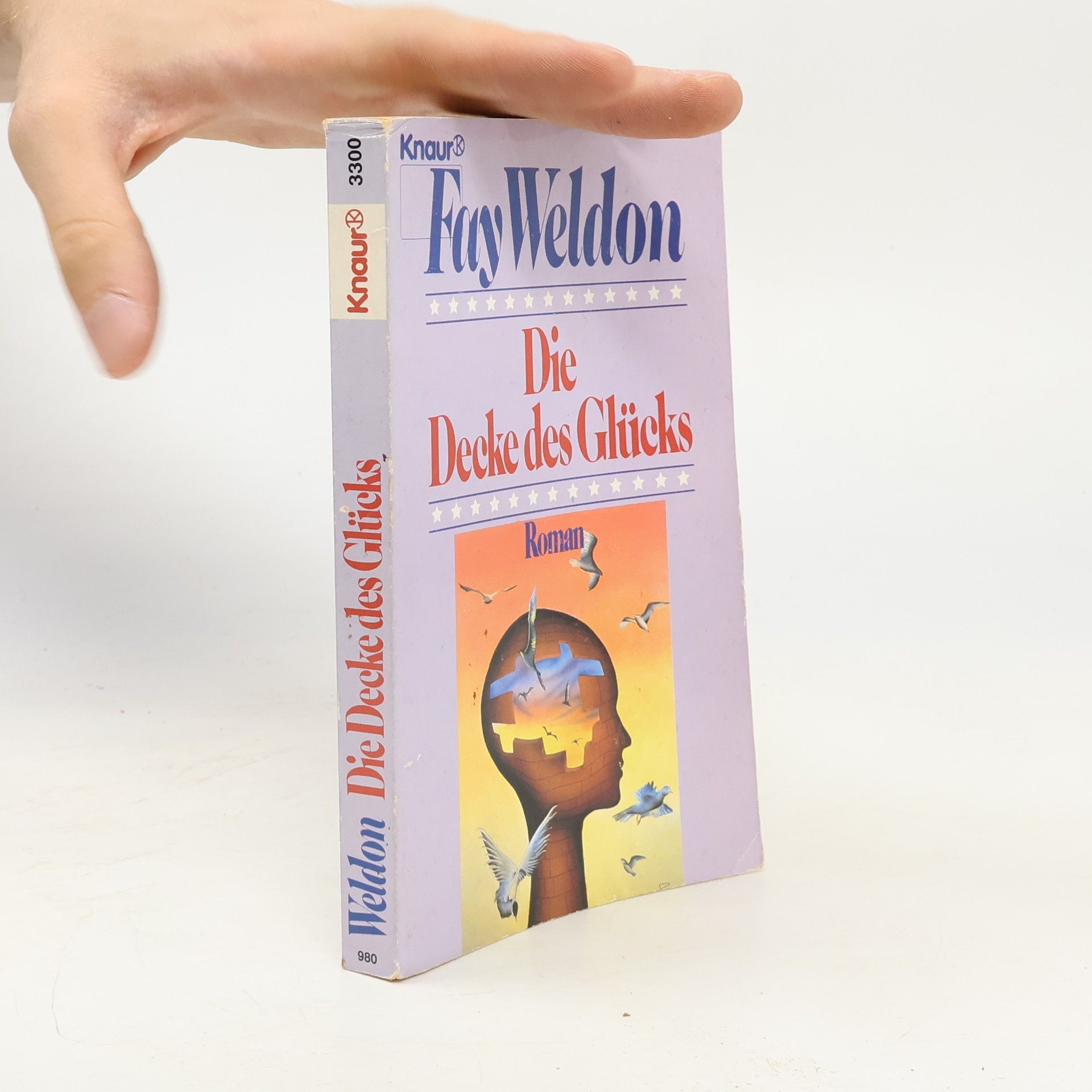 Fay Weldon Die Decke des Glücks. Roman.