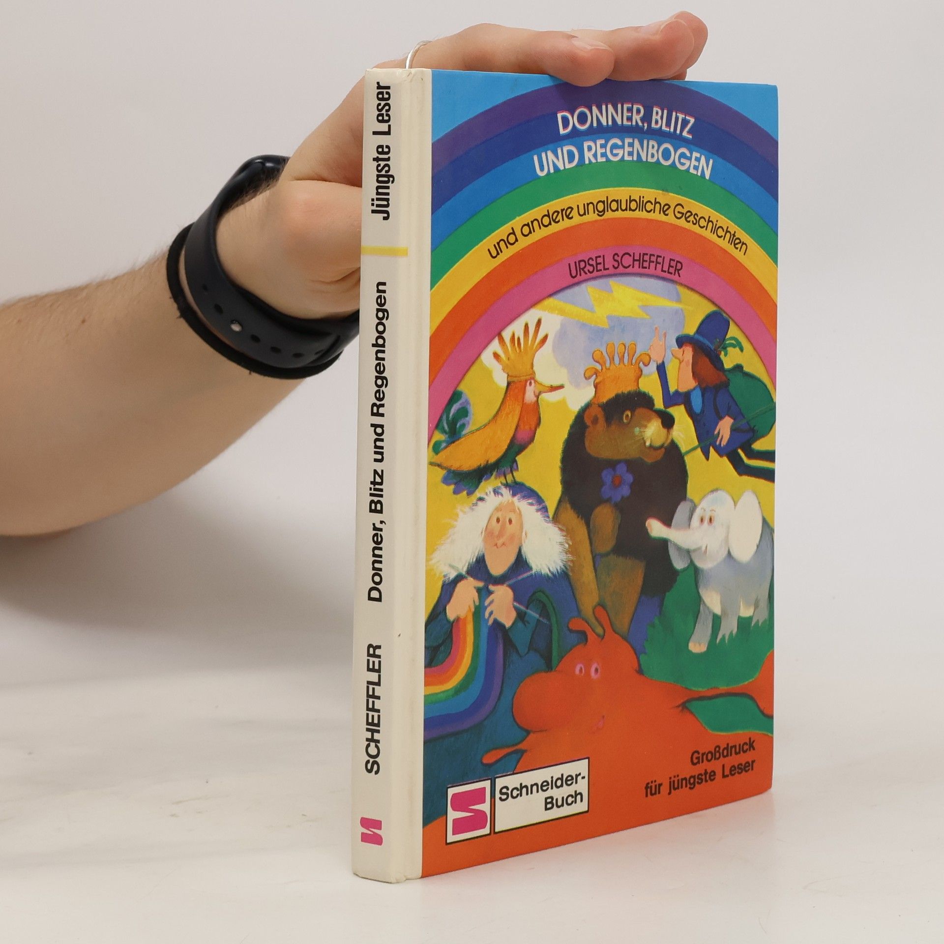 Ursel Scheffler Donner, Blitz und Regenbogen und andere unglaubliche Geschichten