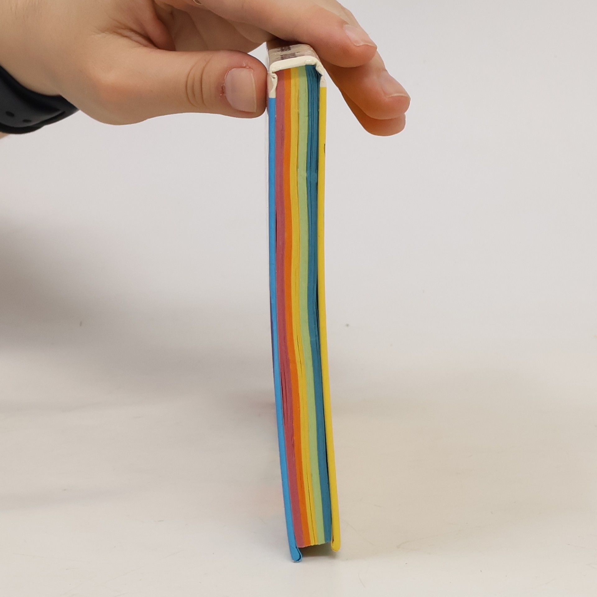 Ursel Scheffler Donner, Blitz und Regenbogen und andere unglaubliche Geschichten