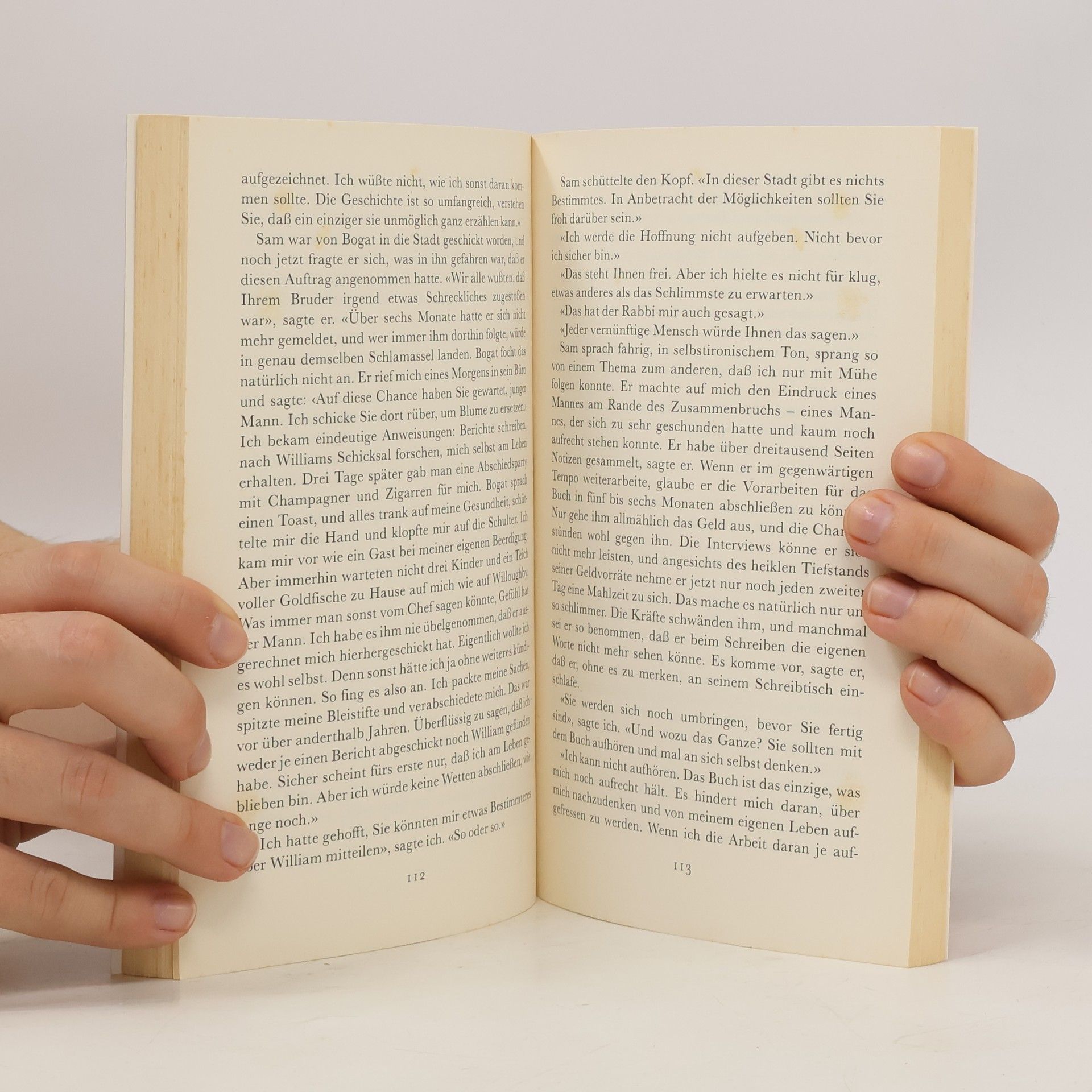 Paul Auster Im Land der letzten Dinge
