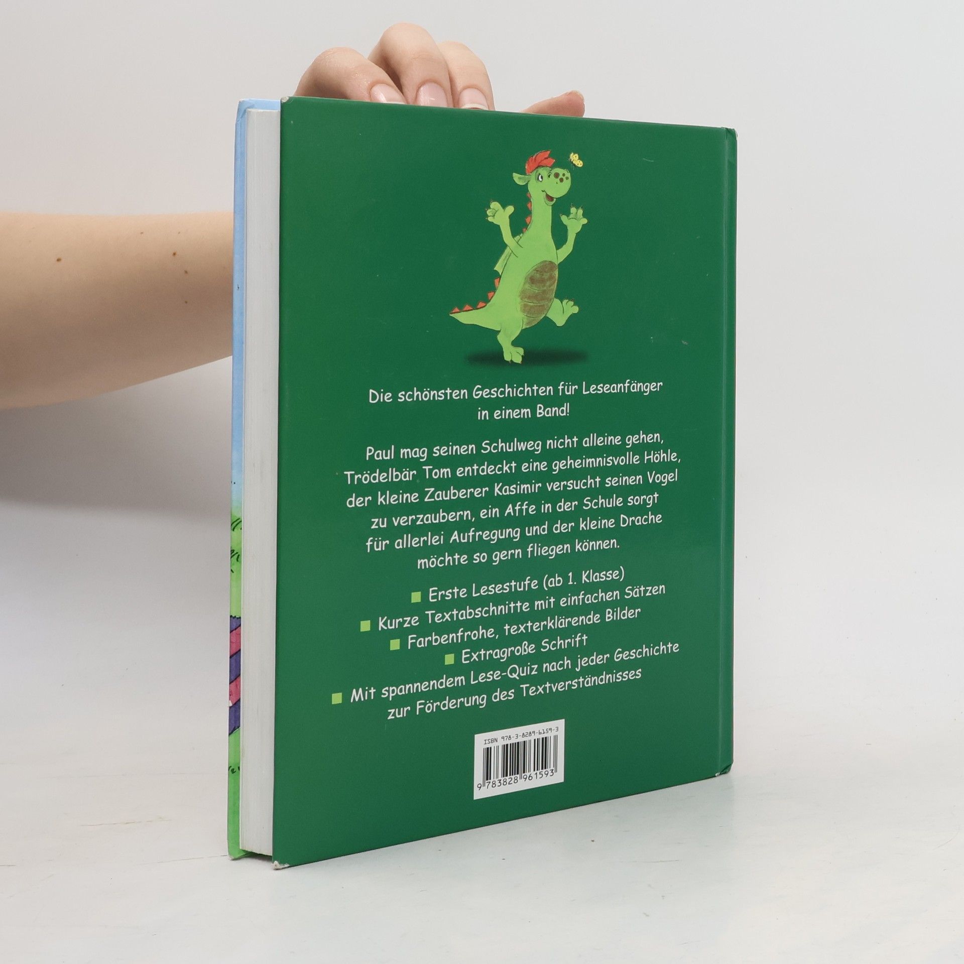 Das dicke Geschichtenbuch für Erstleser