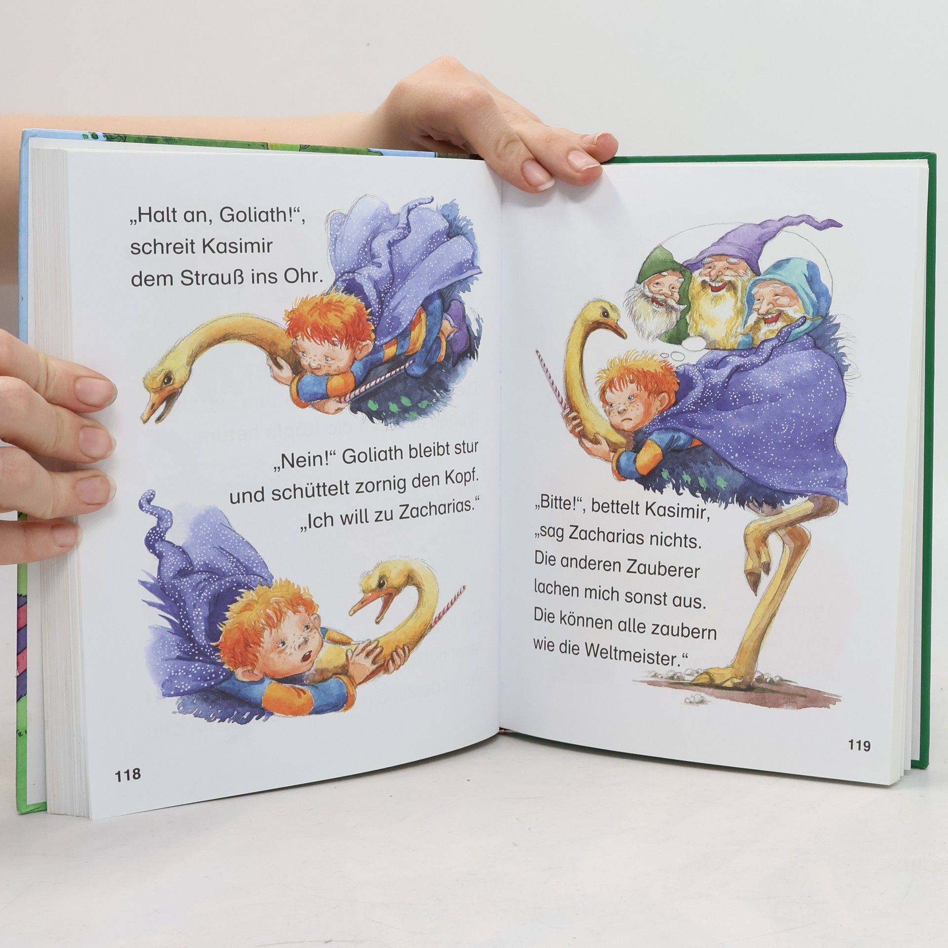 Das dicke Geschichtenbuch für Erstleser