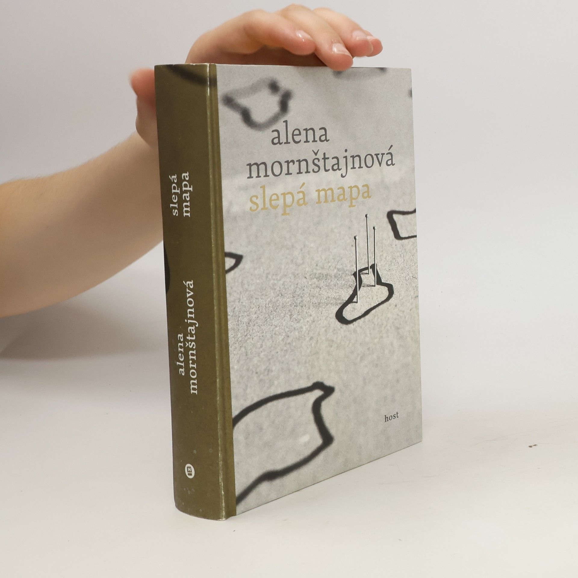 Alena Mornštajnová Slepá mapa
