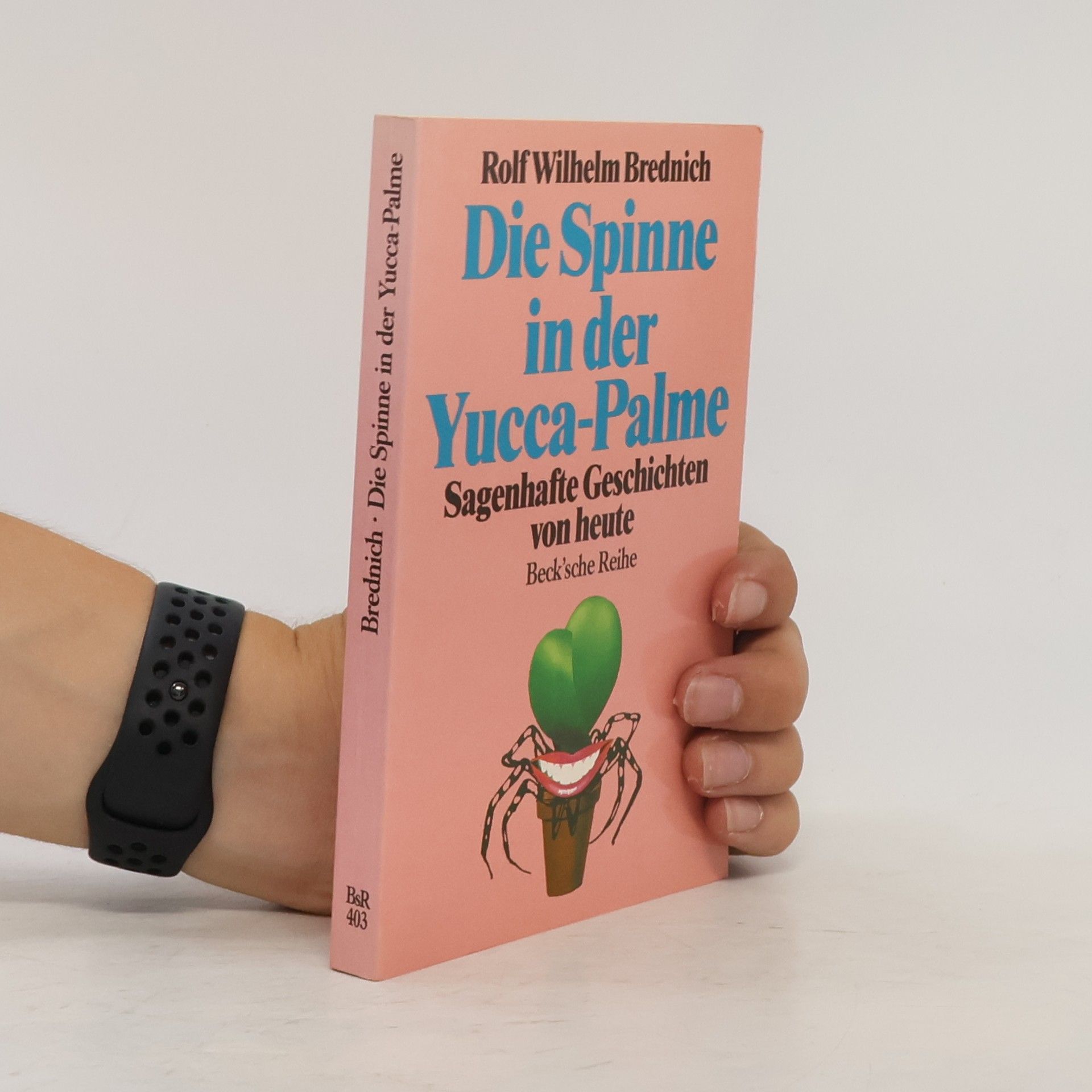 Rolf Wilhelm Brednich Die Spinne in der Yucca-Palme