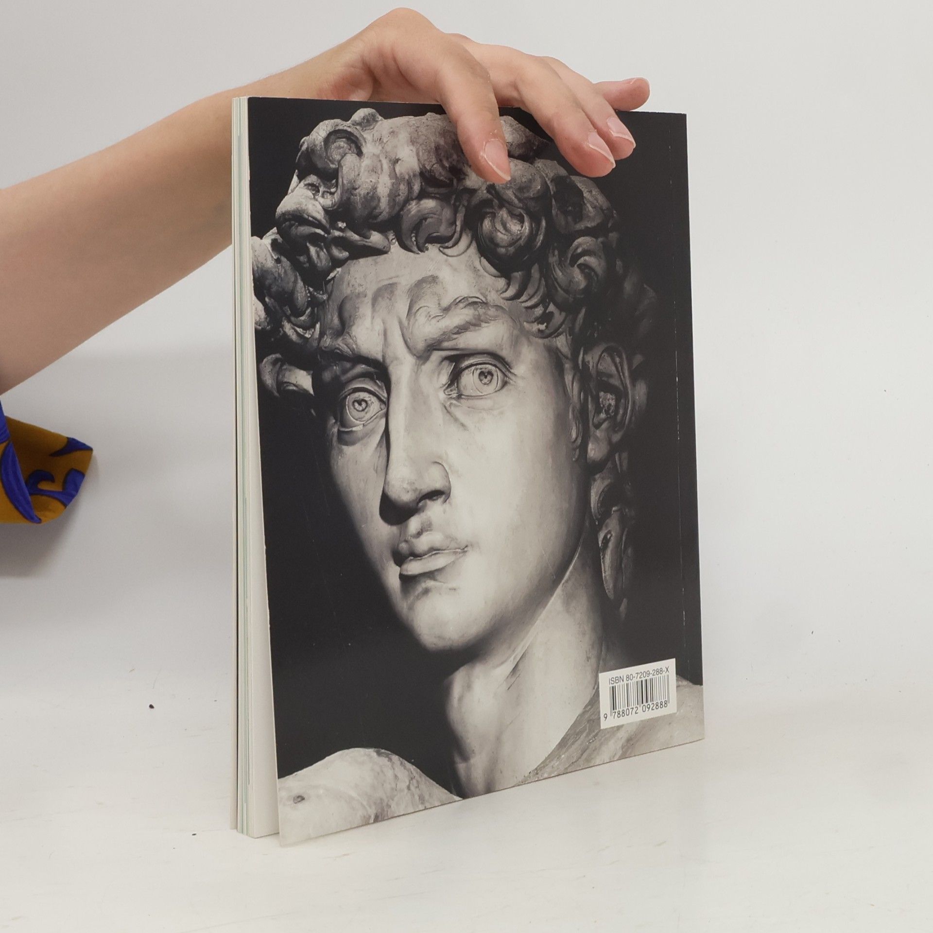 Alexandra Grömling Michelangelo Buonarroti : život a dílo
