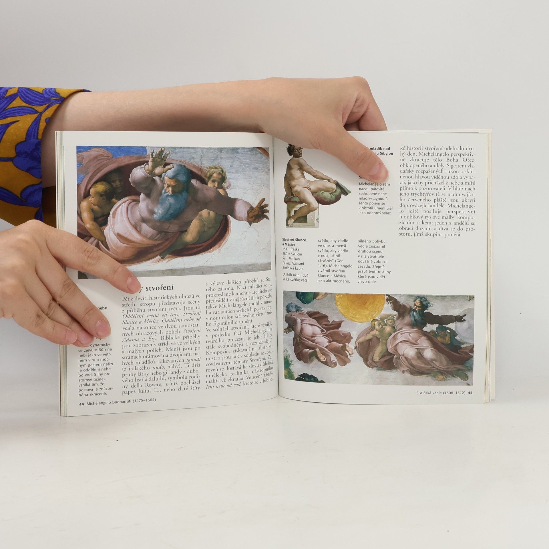 Alexandra Grömling Michelangelo Buonarroti : život a dílo