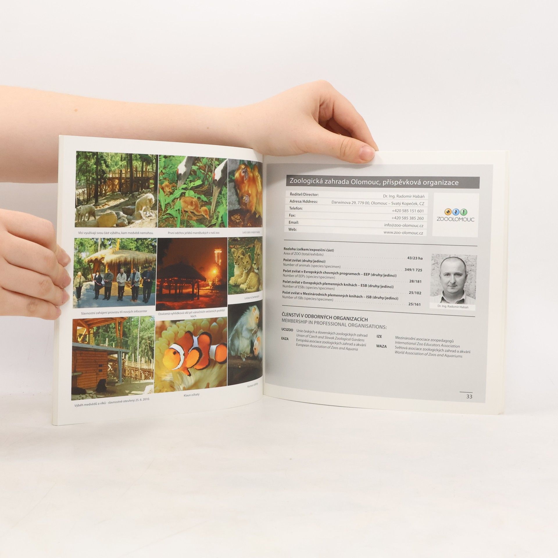 Kolektiv autorů Výroční zpráva / The Annual Report 2010
