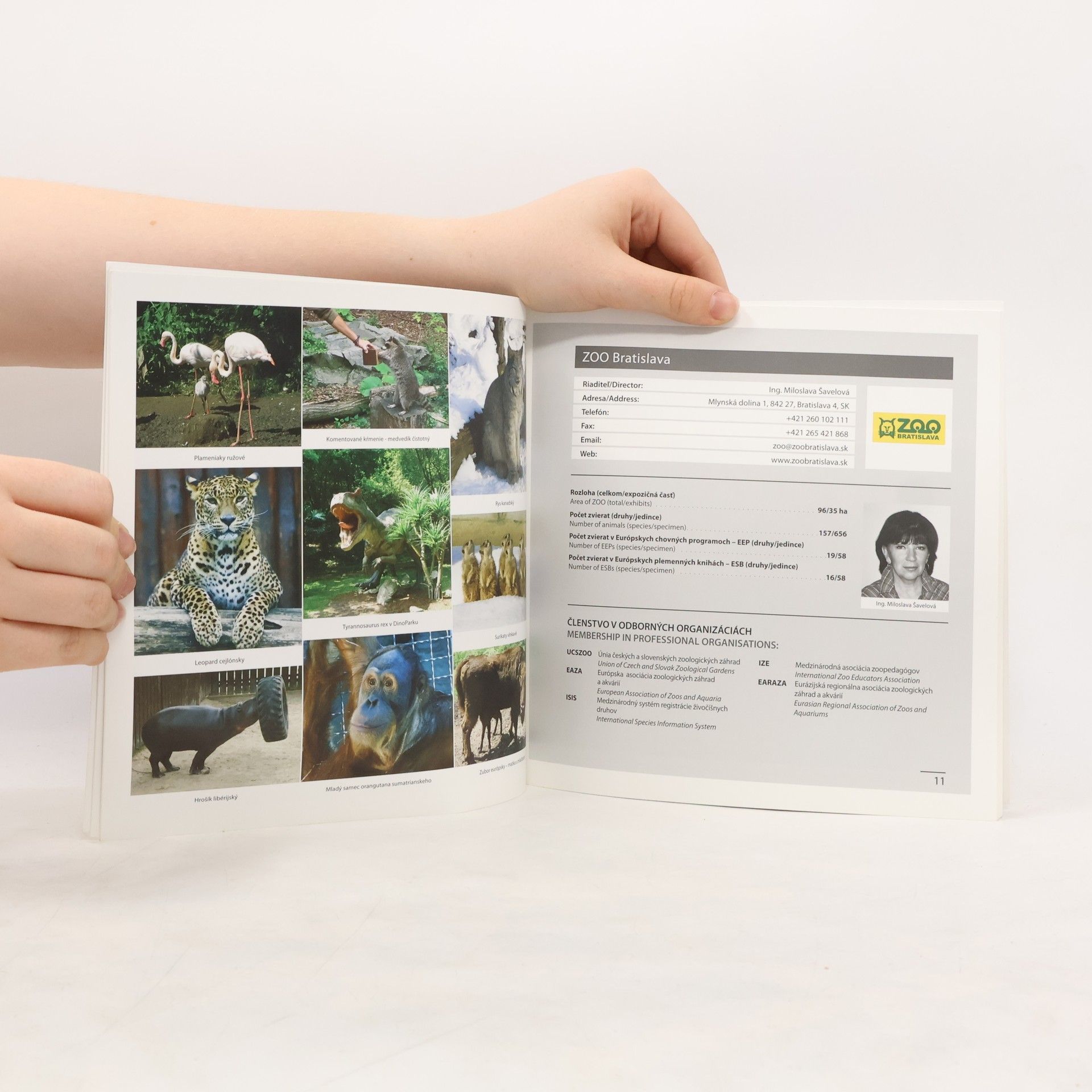 Kolektiv autorů Výroční zpráva / The Annual Report 2010