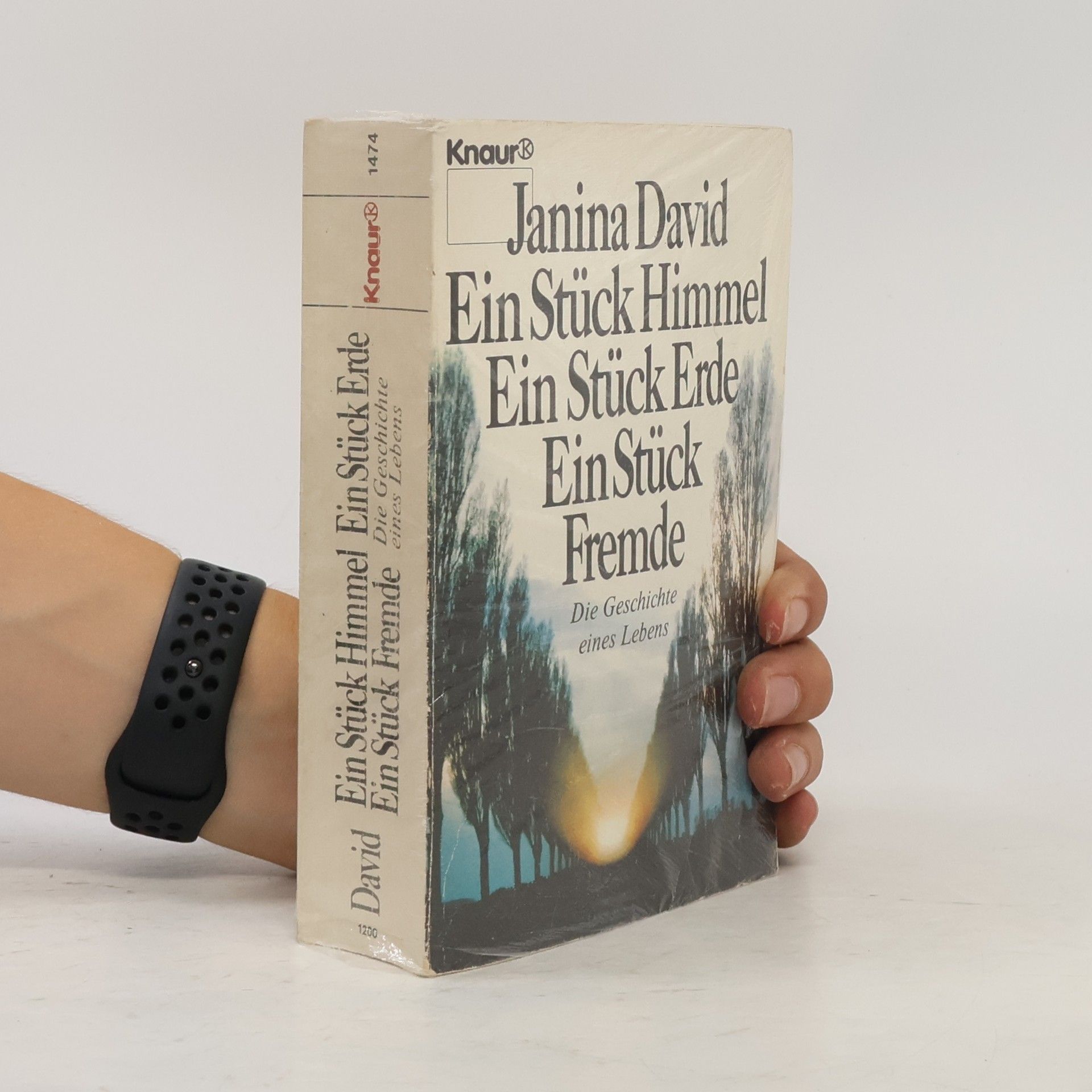 Janina David Ein Stück Himmel