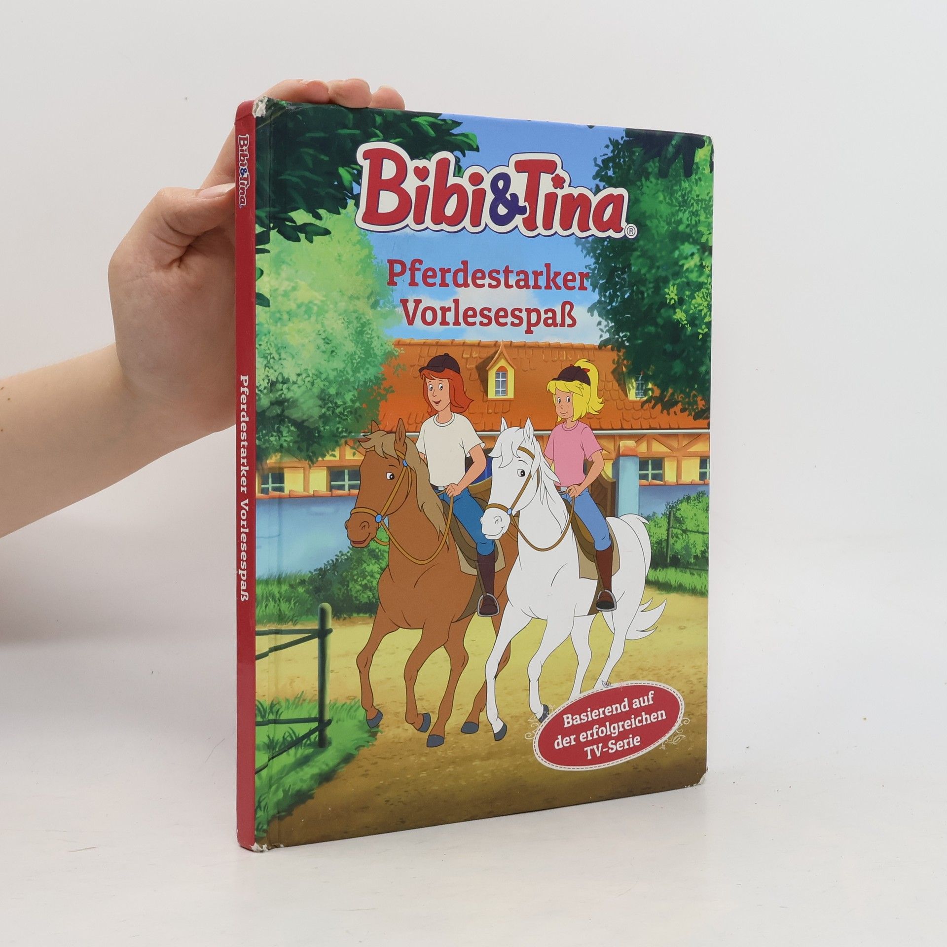 Stephan Gürtler Bibi & Tina - pferdestarker Vorlesespaß