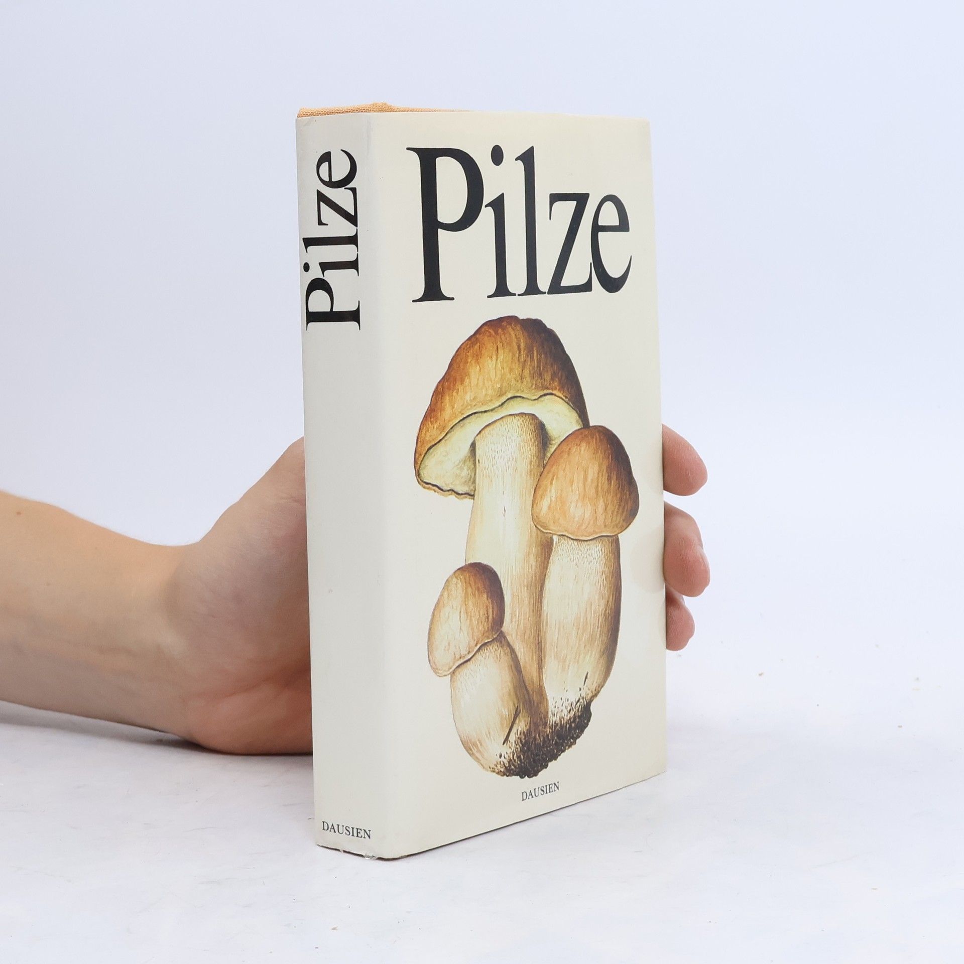 Aurel Dermek Pilze