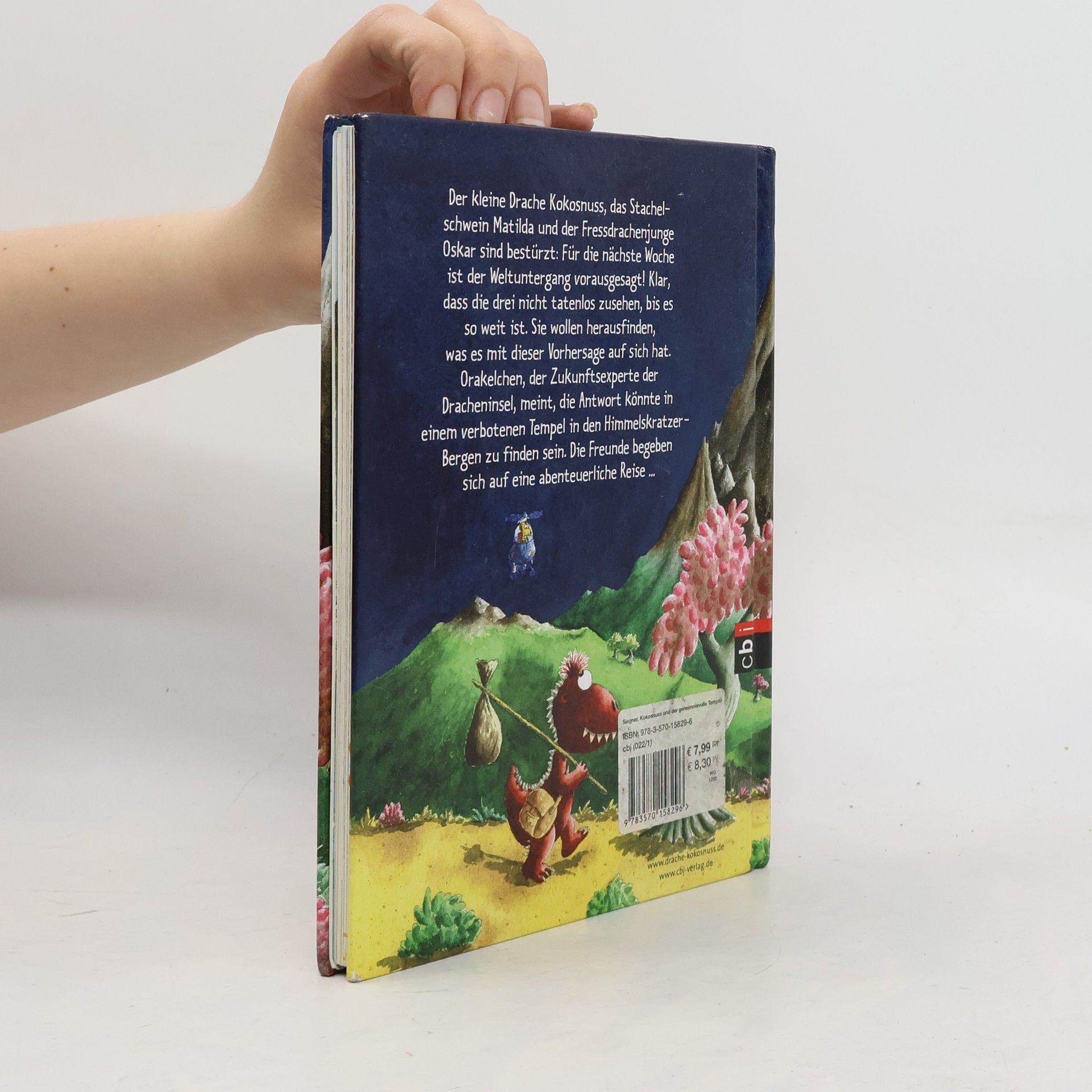 Ingo Seigner Der kleine Drache Kokosnuss und der geheimnisvolle Tempel