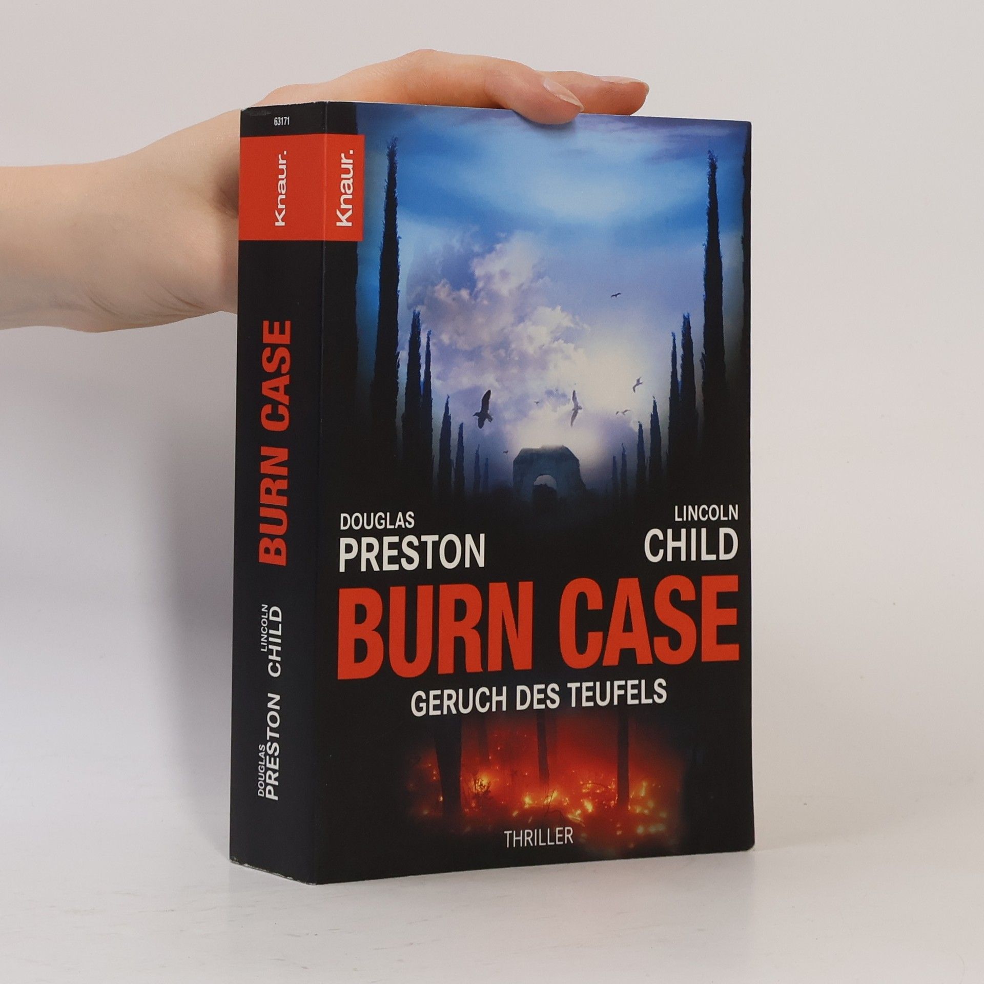 Lincoln Child Burn Case
