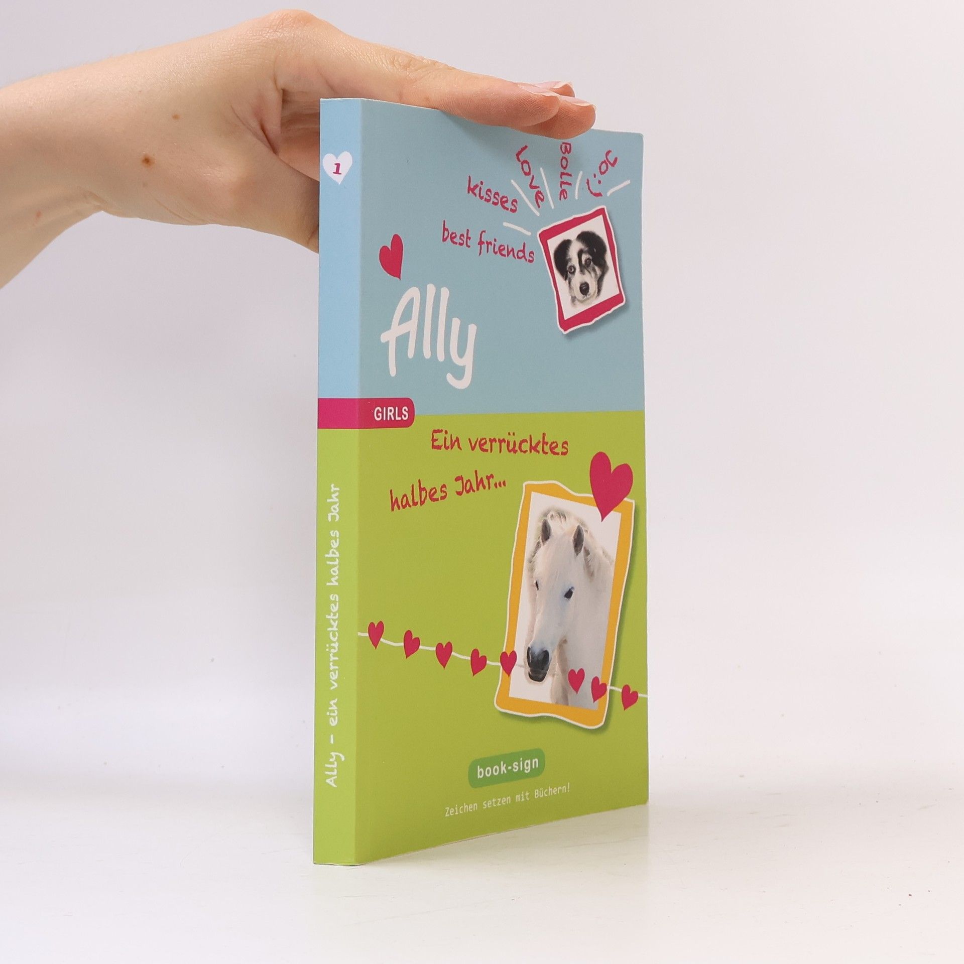 Autorenkollektiv Ally 1. Ein verrücktes halbes Jahr