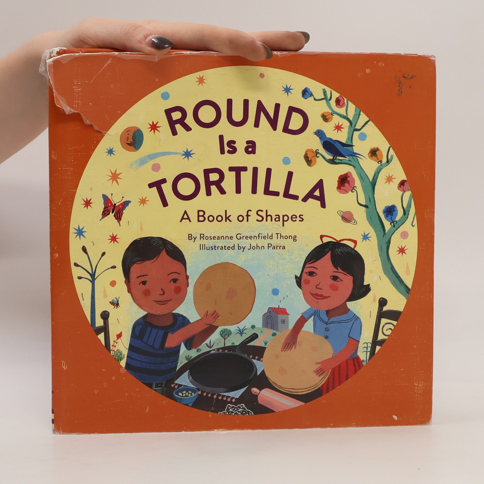 Roseanne Greenfield Thong Round Is a Tortilla