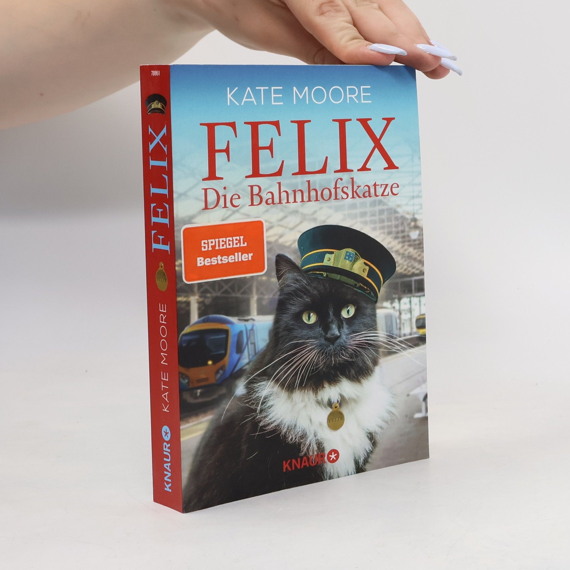 Kate Moore Felix - die Bahnhofskatze