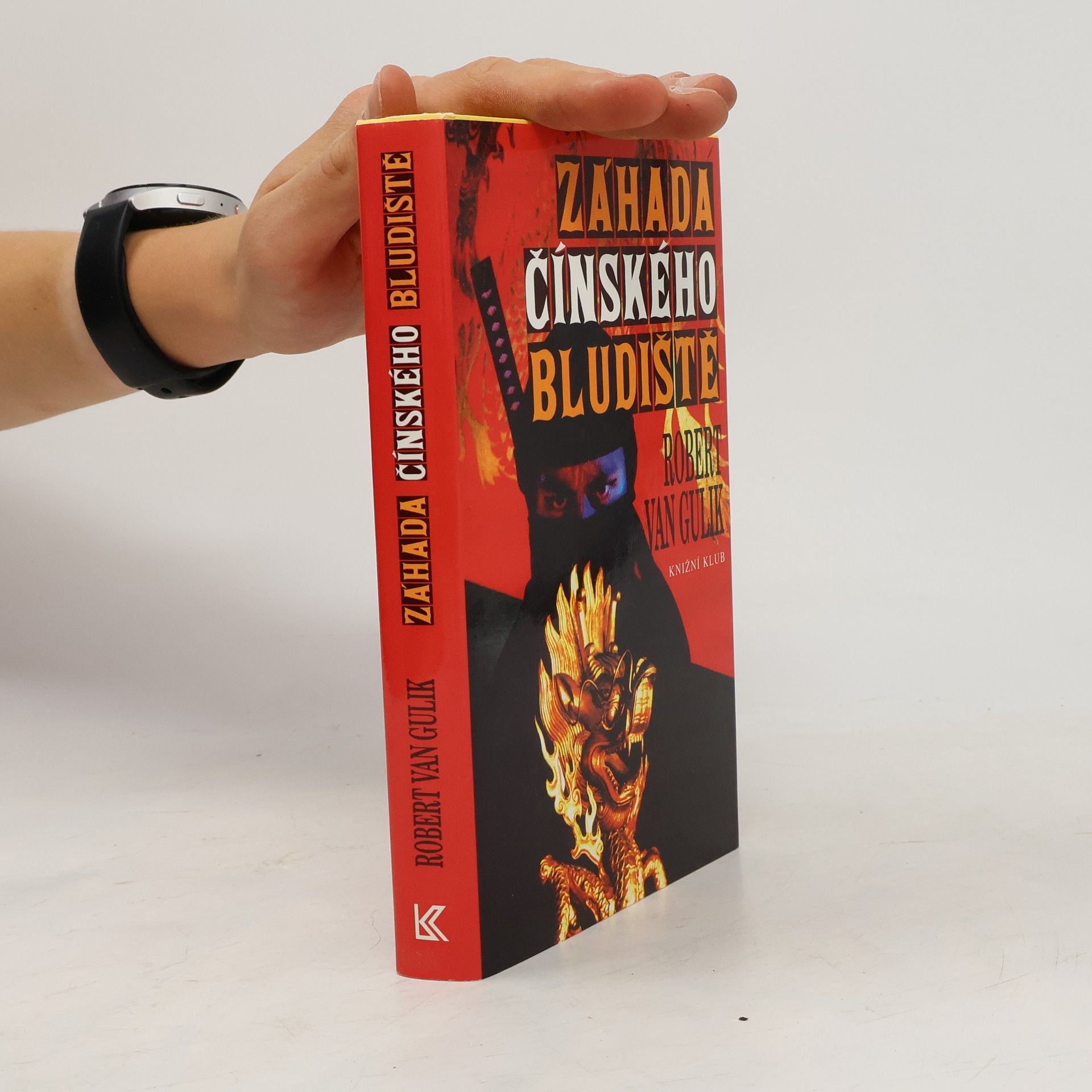 Robert van Gulik Záhada čínského bludiště