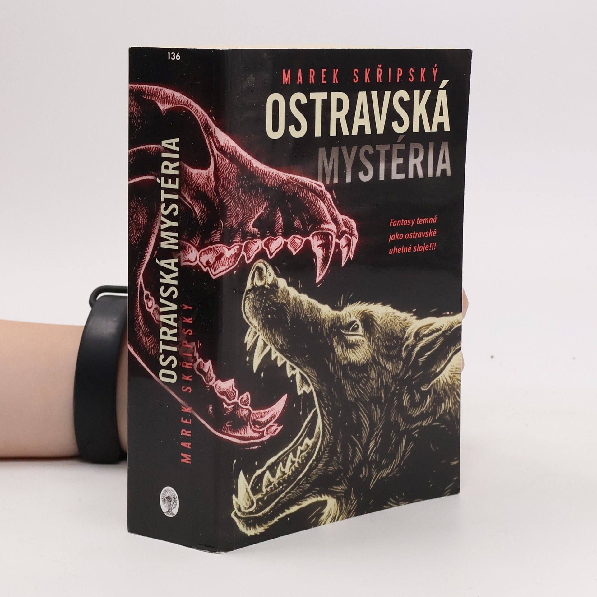 Ostravská mystéria